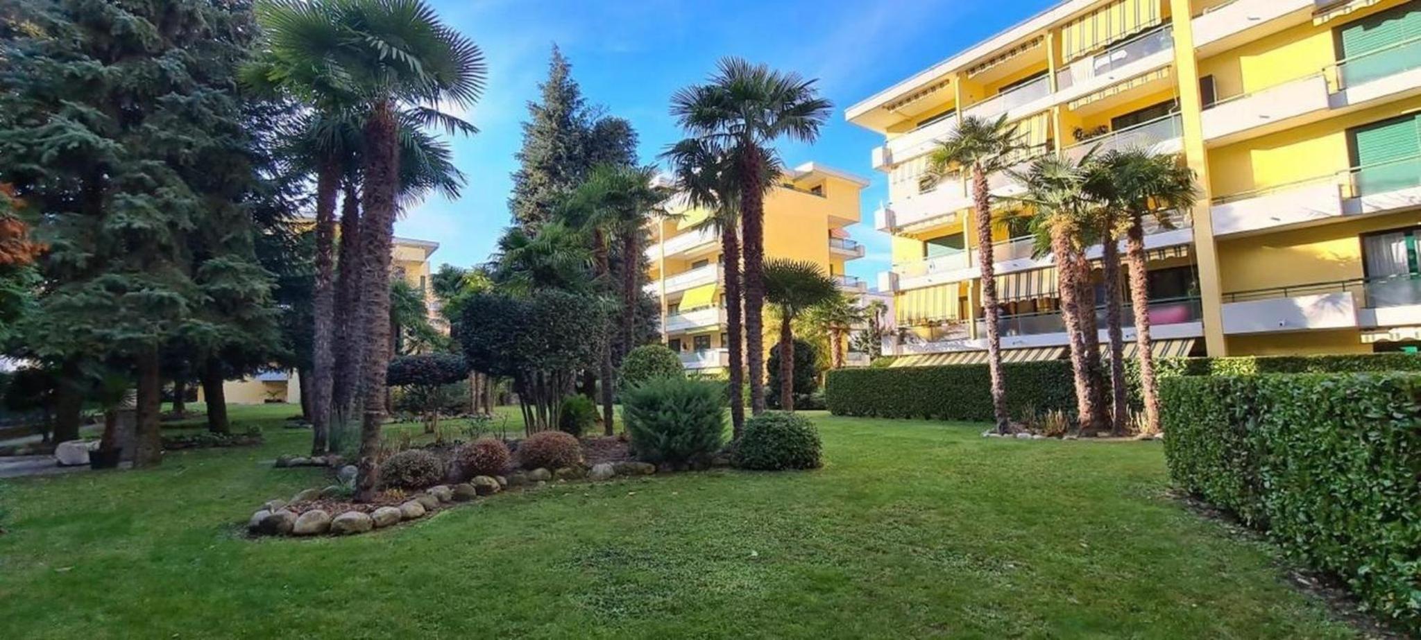 Apartment 10 Palmen Locarno