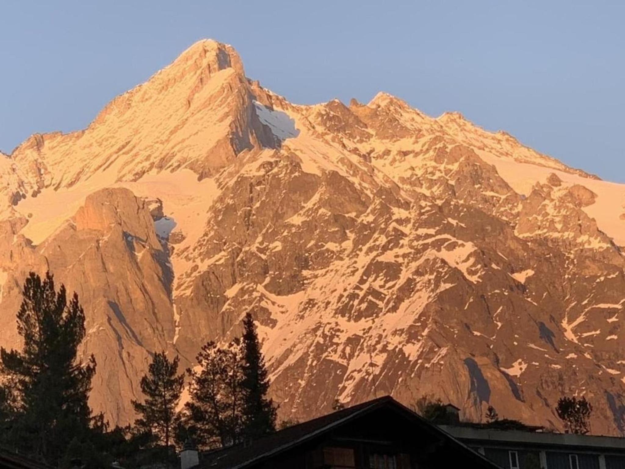 Chalet Fluehbluemli Eigerview