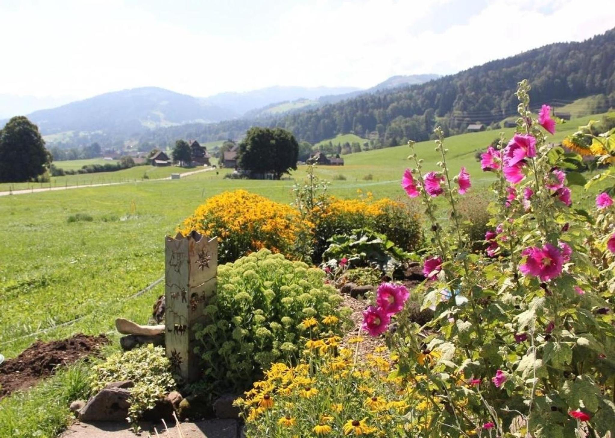 Ferienwohnung Scheftenau im Toggenburg
