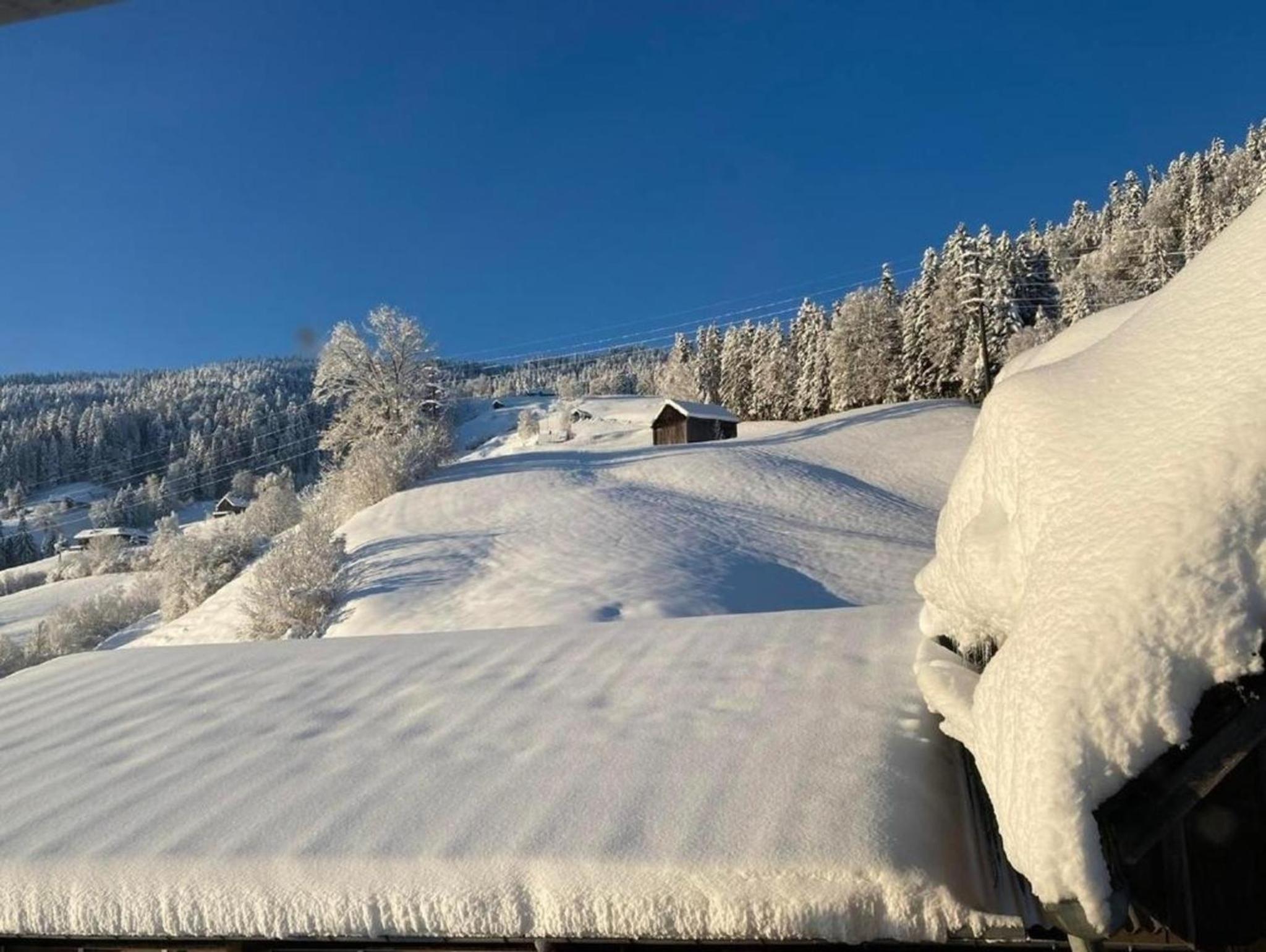Ferienwohnung Scheftenau im Toggenburg
