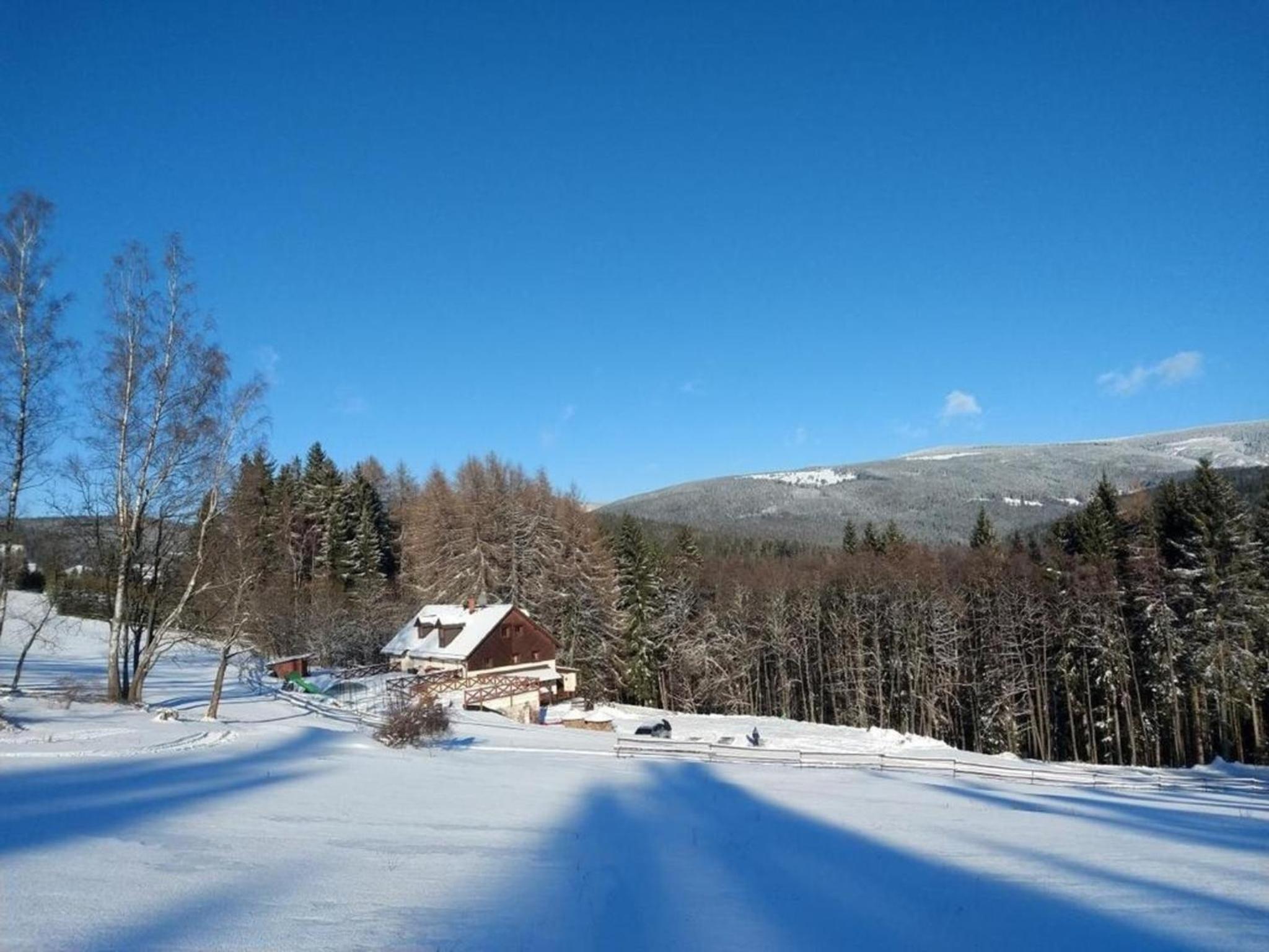 Ferienhaus am Waldrand mit Schwimmbad und Sauna