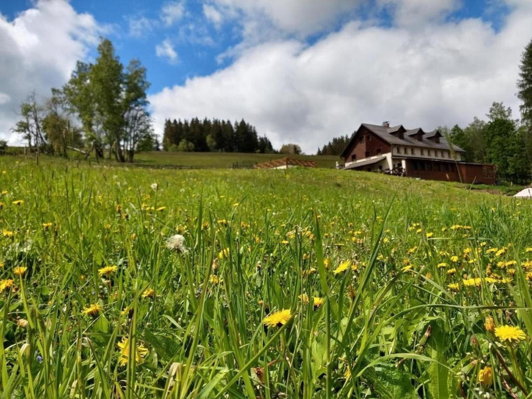 Ferienhaus am Waldrand mit Schwimmbad und Sauna
