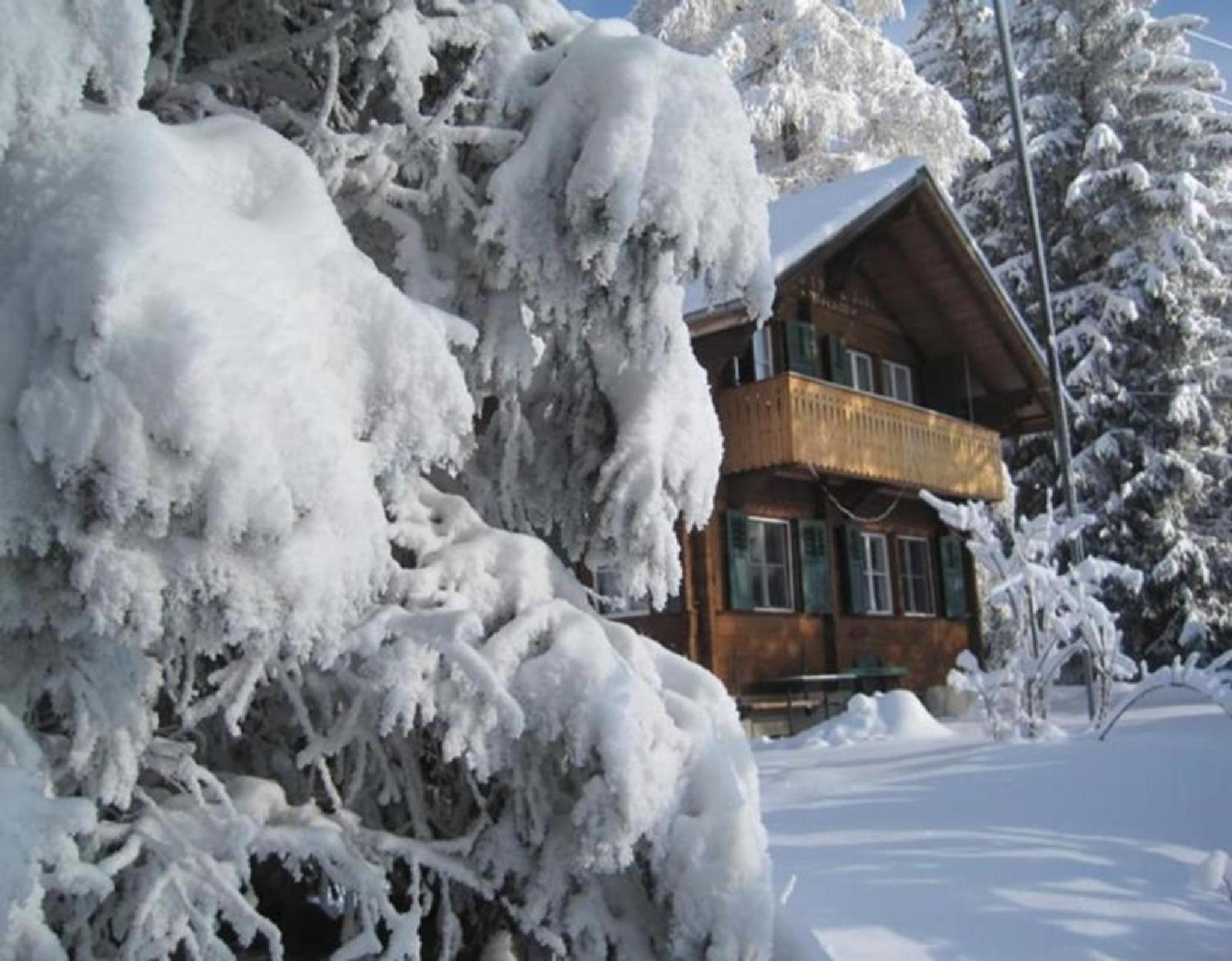 Alpidyll Traditionelles 4 -Zimmer-Einzelchalet