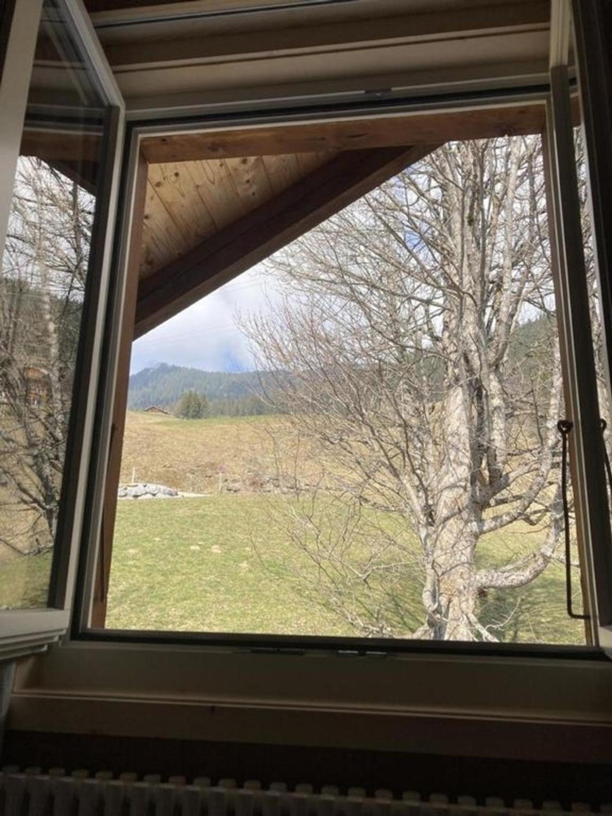Alpidyll Traditionelles 4 -Zimmer-Einzelchalet