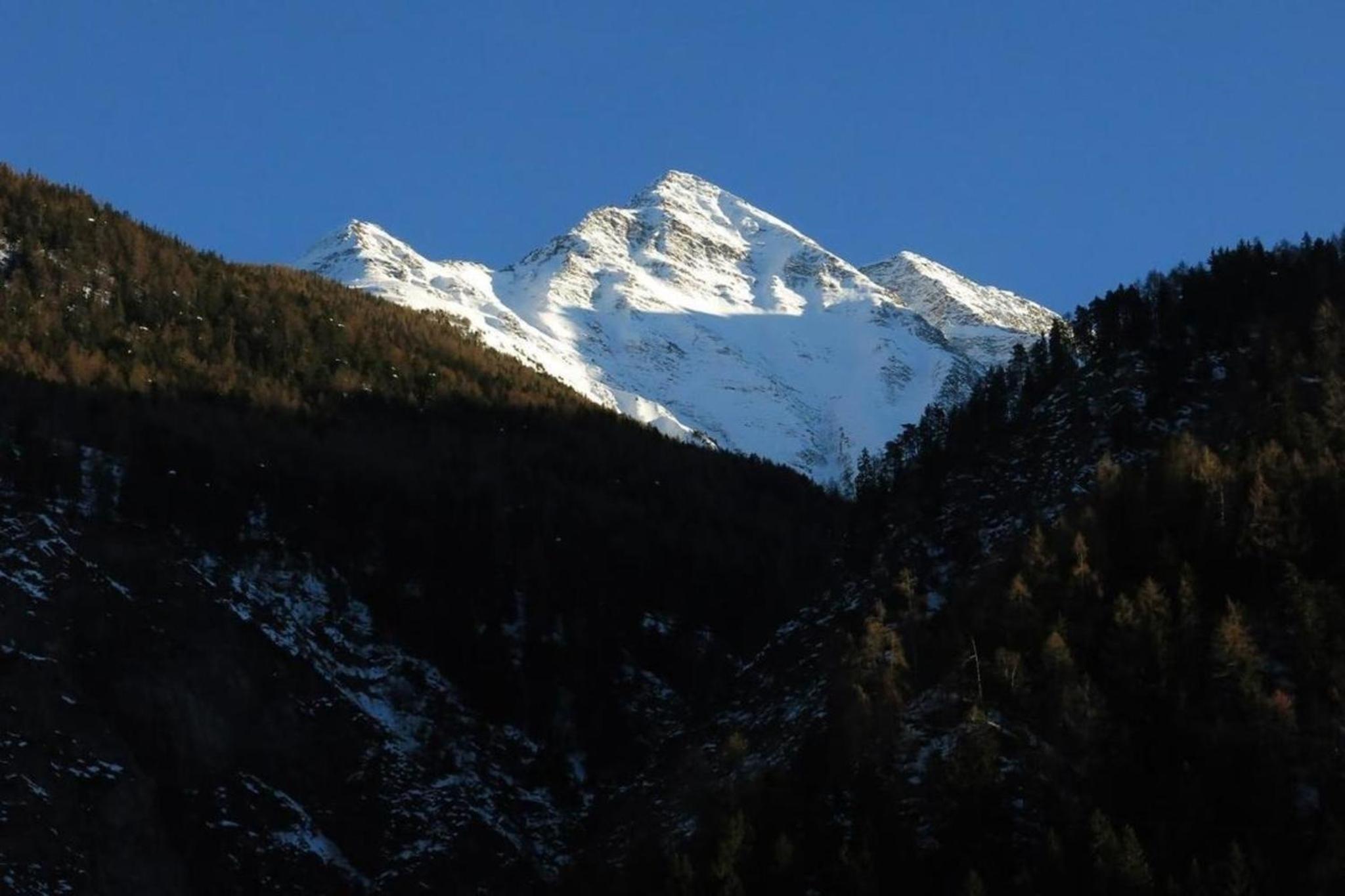 Waldluft, Natur pur