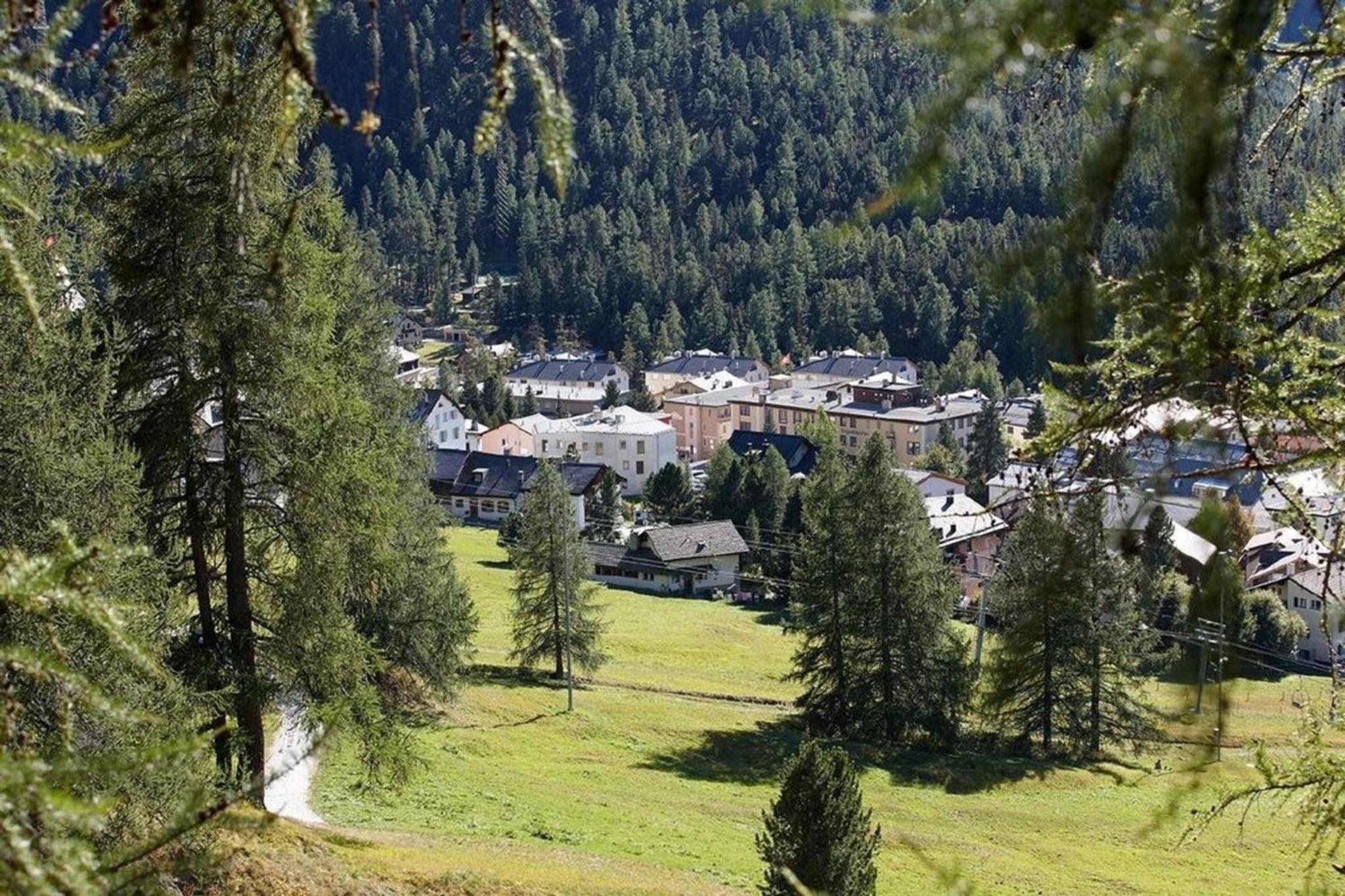 Alpine Lodge 4-Bett-Wohnung Chesa Plattner