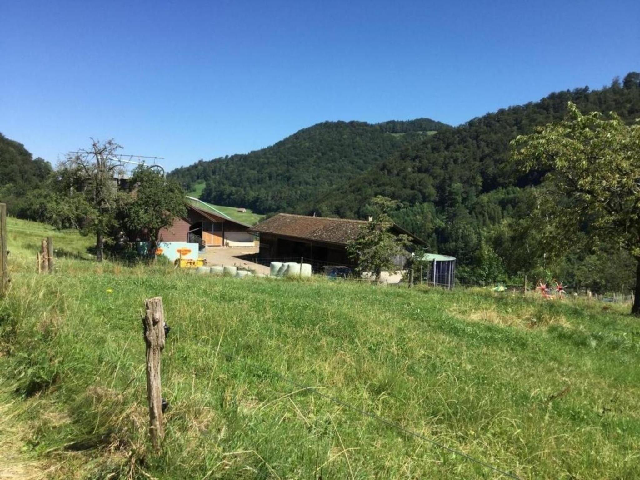 Ferienwohnung Hof unterer Dürrenberg Langenbruck