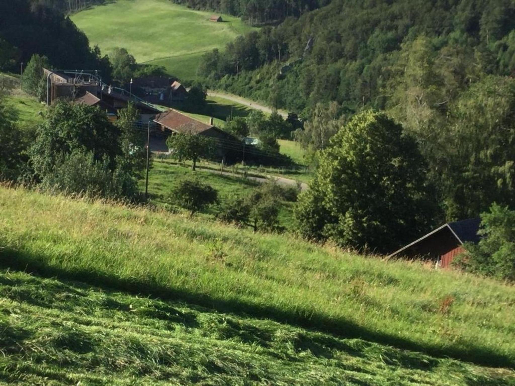 Ferienwohnung Hof unterer Dürrenberg Langenbruck