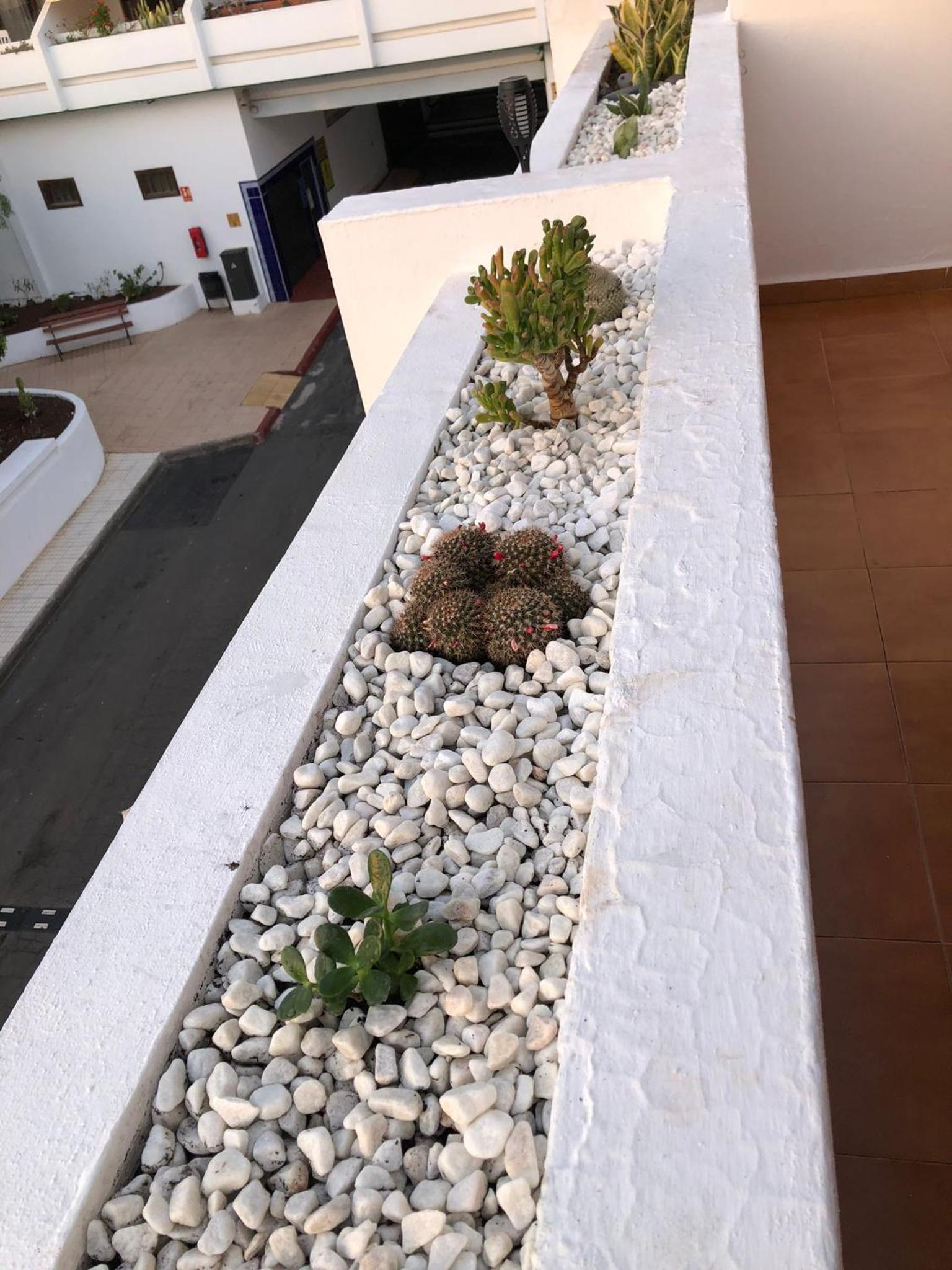 Apartamento Helena en Garden City con piscina climatizada photo 3