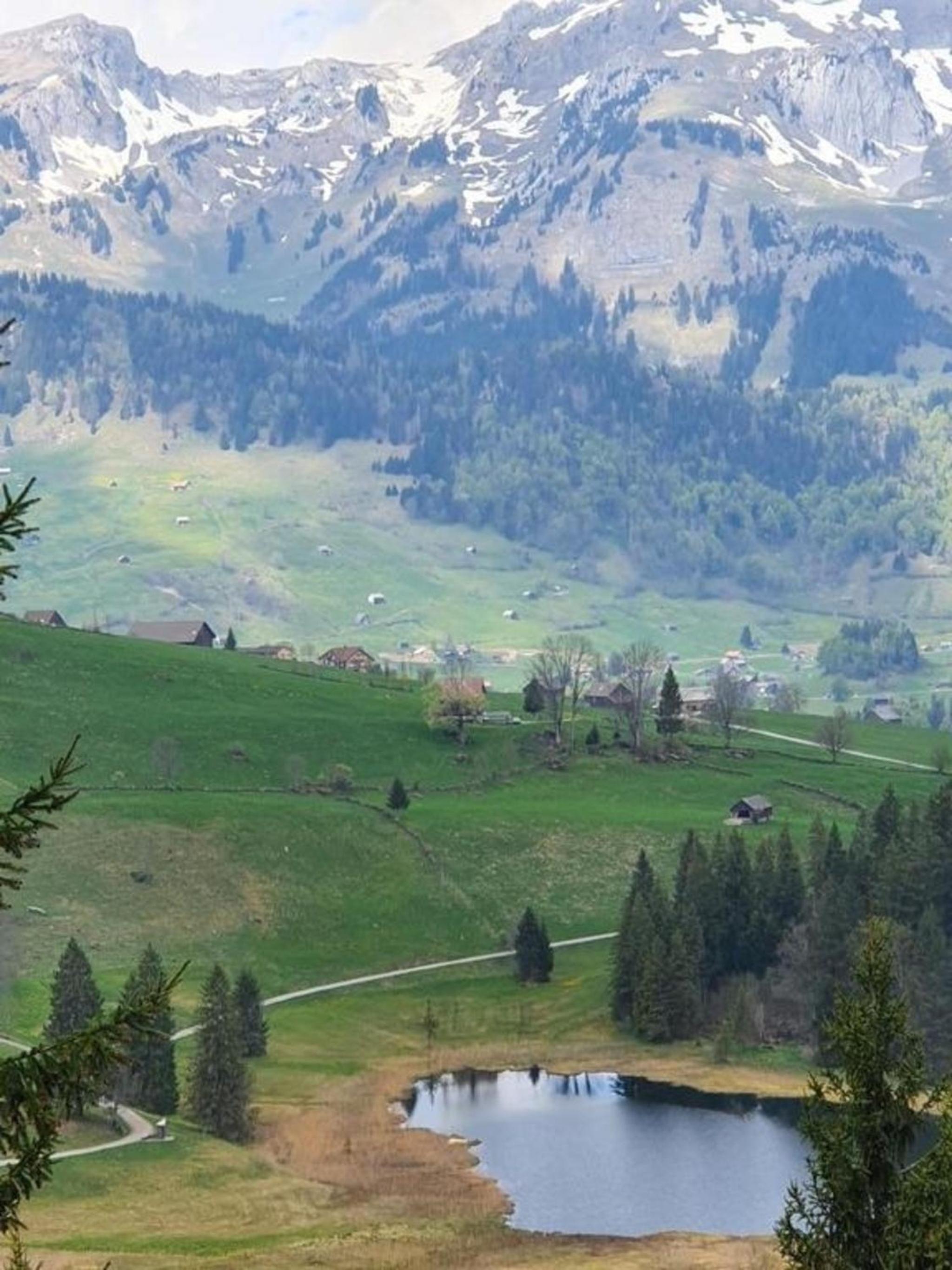 Erholung in Wildhaus mit Bergsicht