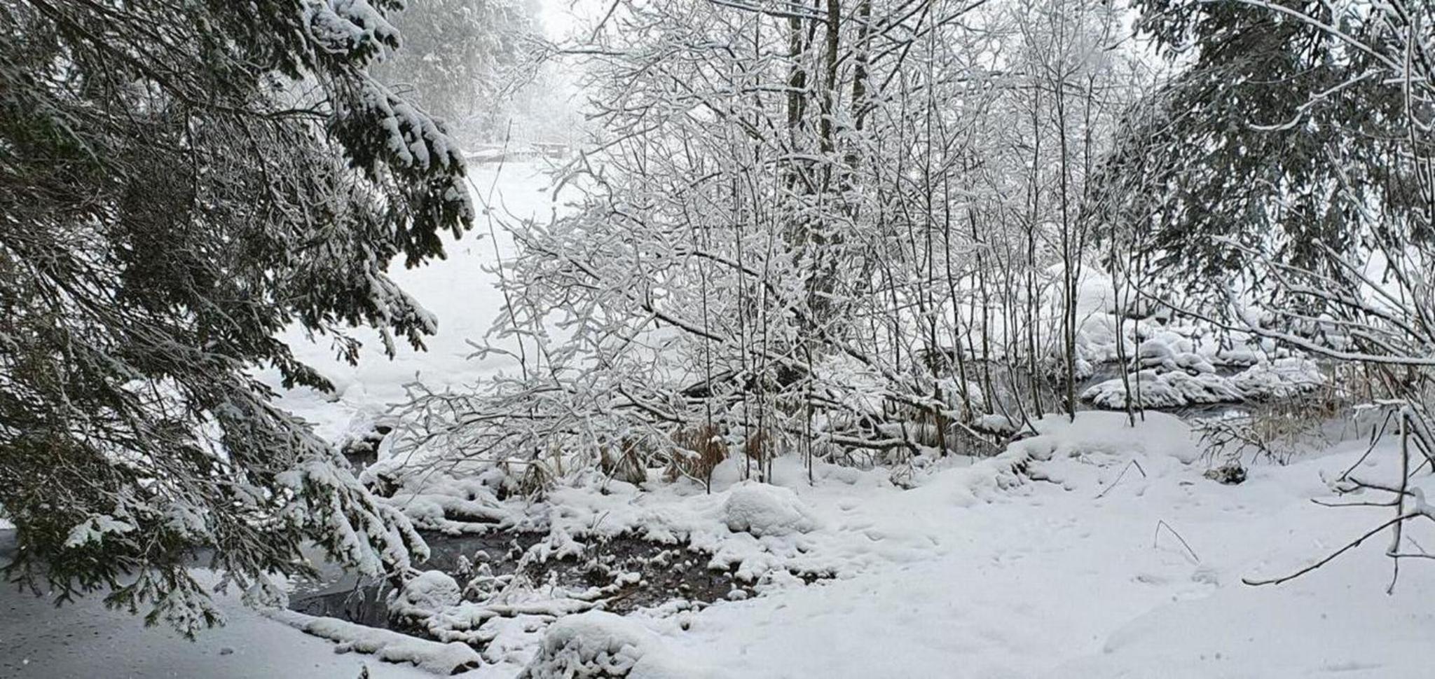 Erholung in Wildhaus mit Bergsicht