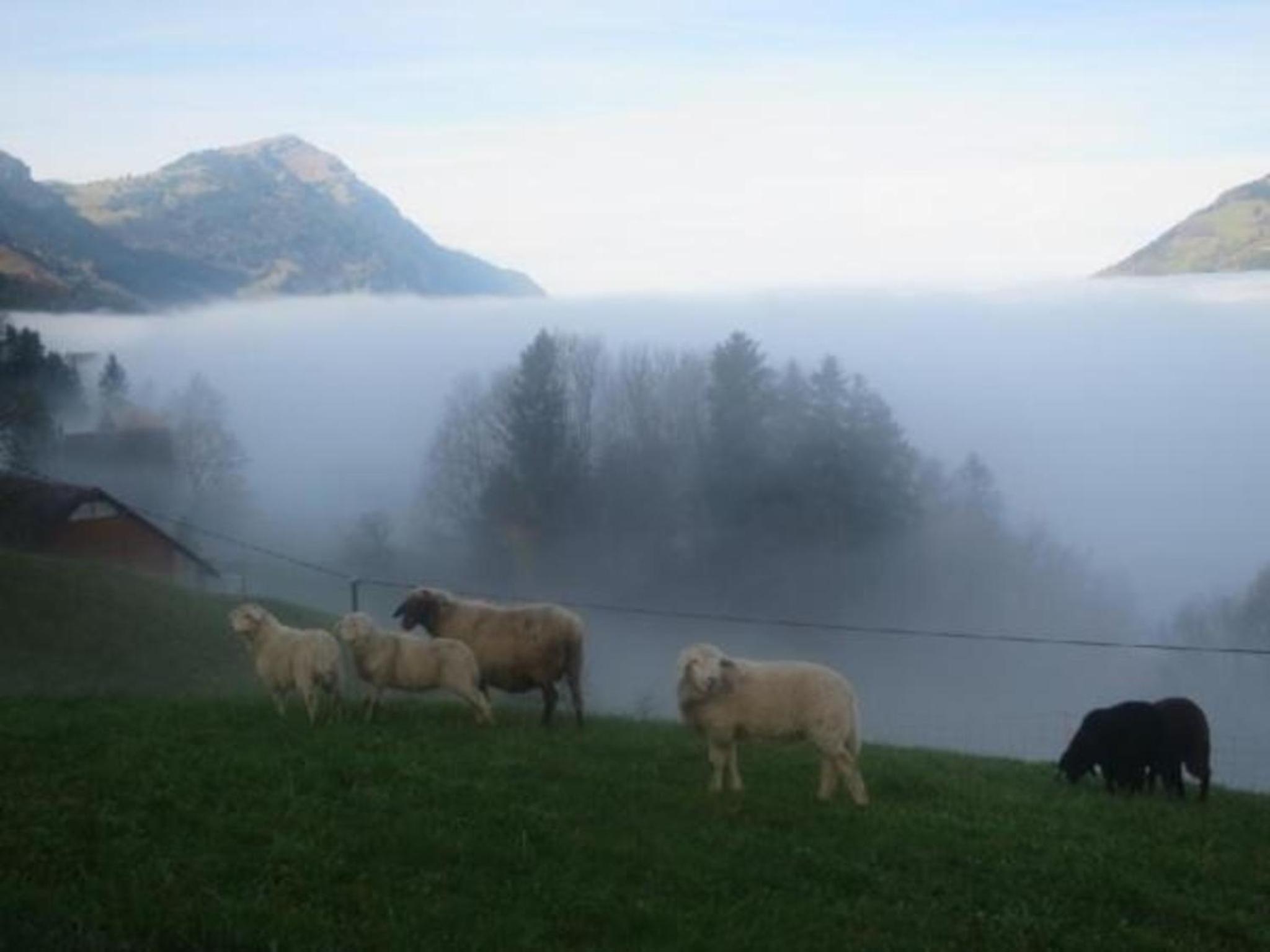 Biohof Langberg