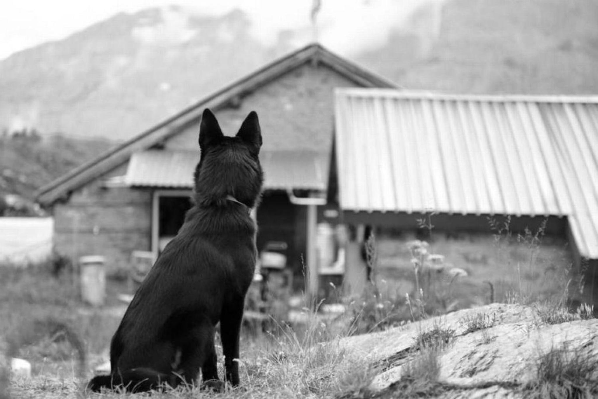 Zimmer in uriger rustikalen Alphütte auf bewirtschafteter Alp hoch in den Bergen, inkl VP