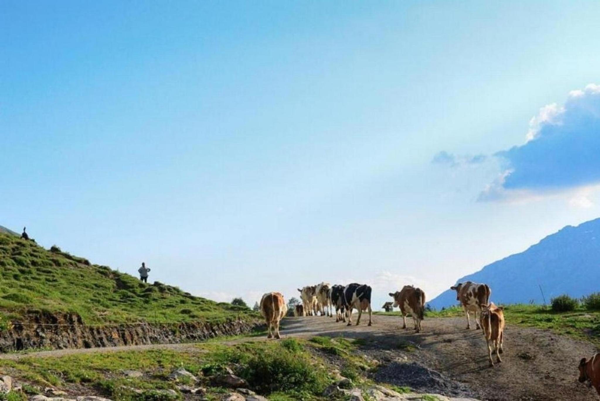 Zimmer in uriger rustikalen Alphütte auf bewirtschafteter Alp hoch in den Bergen, inkl VP