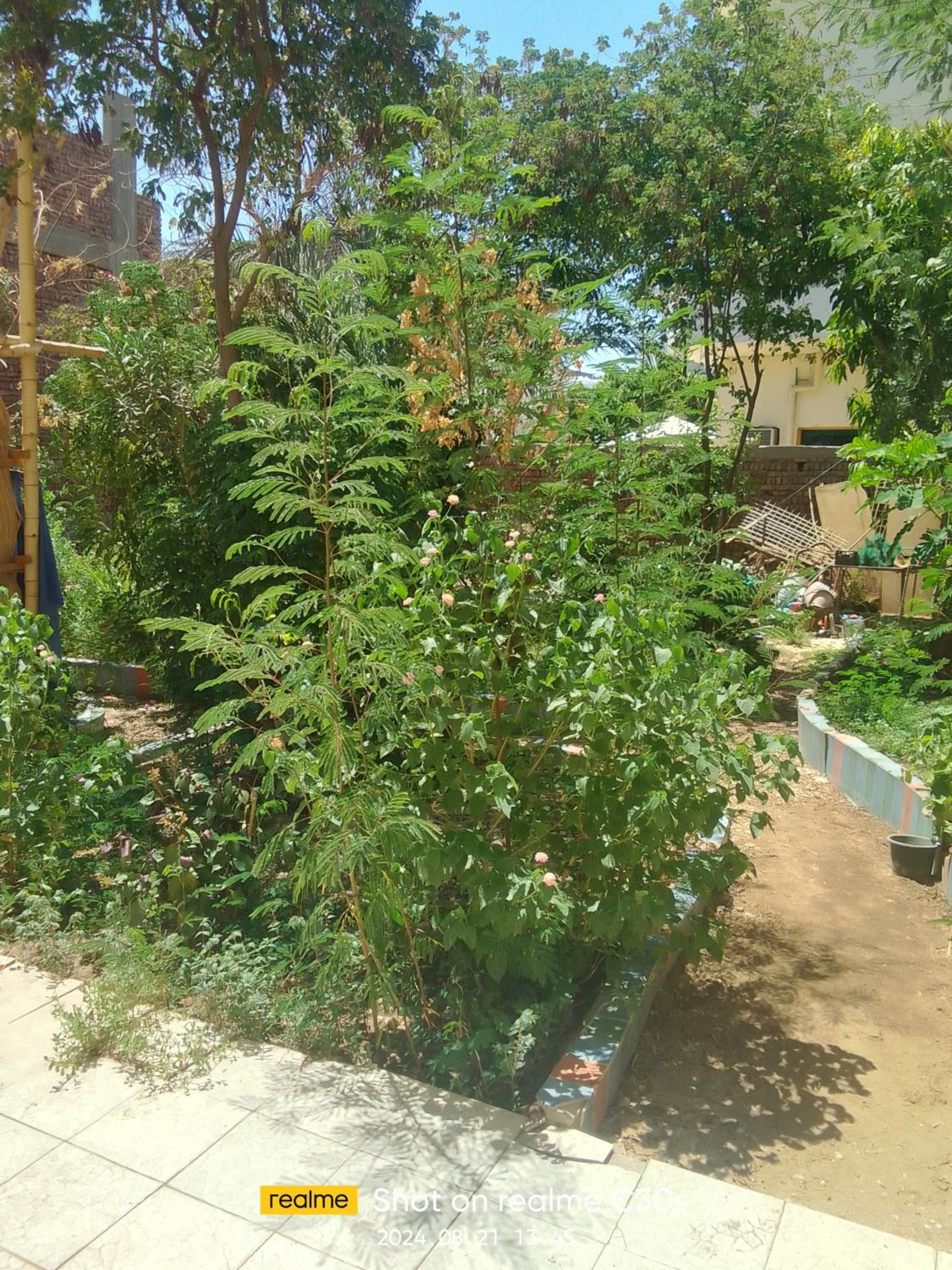 Nile Garden Villa