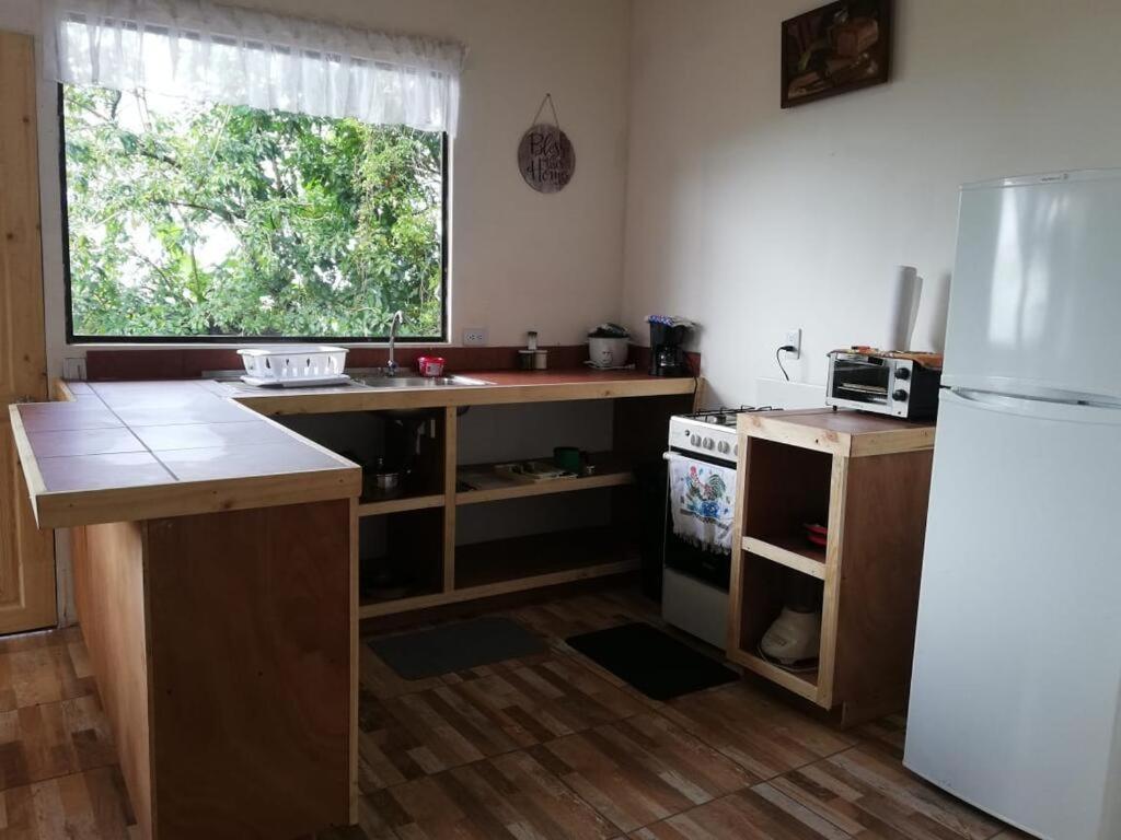 Rainbow House