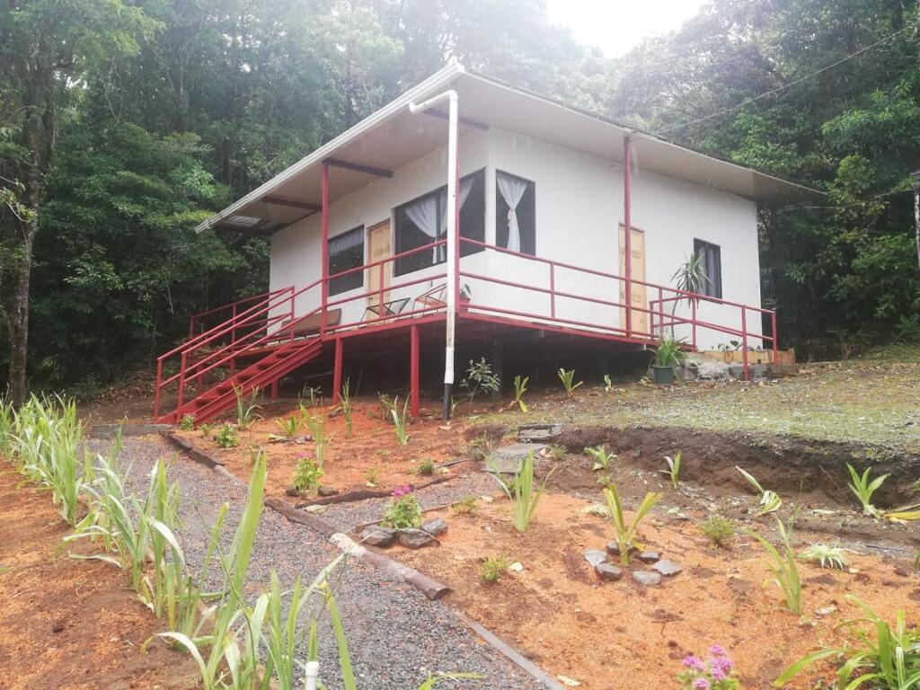 Rainbow House