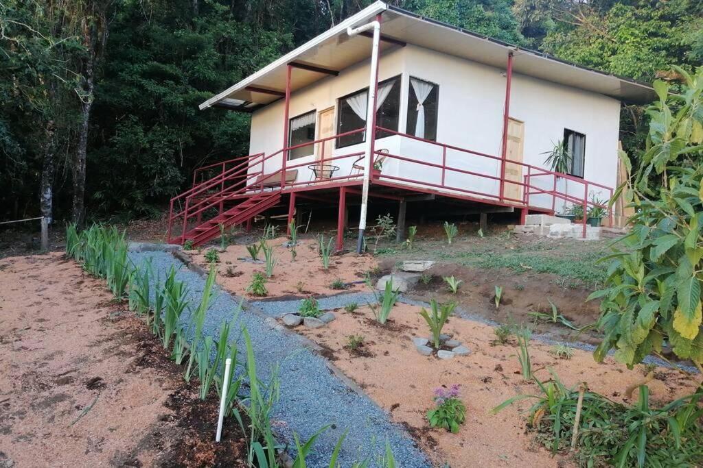 Rainbow House