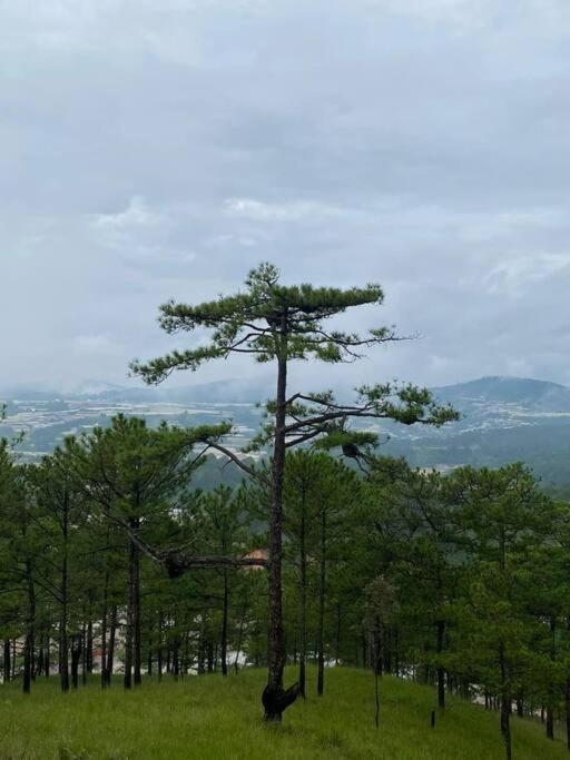 Dalat Azalea Villa 9B view 5