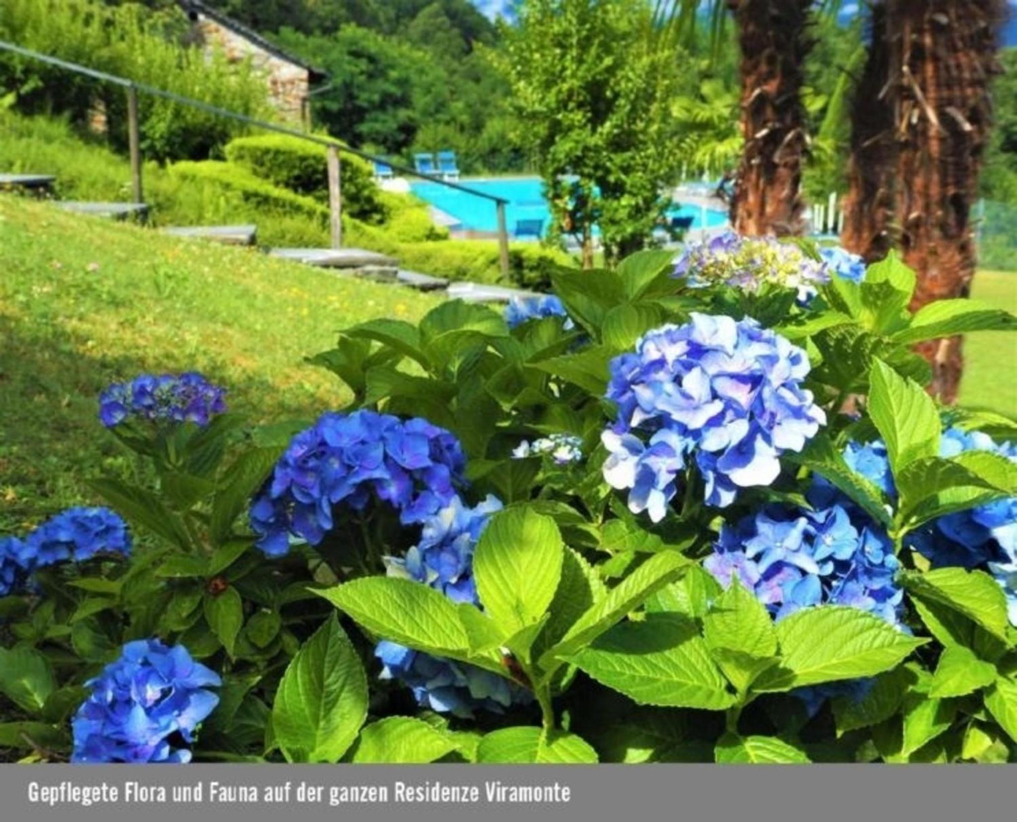 Residenza Viramonte - Casa Daniela, Wohnung 38