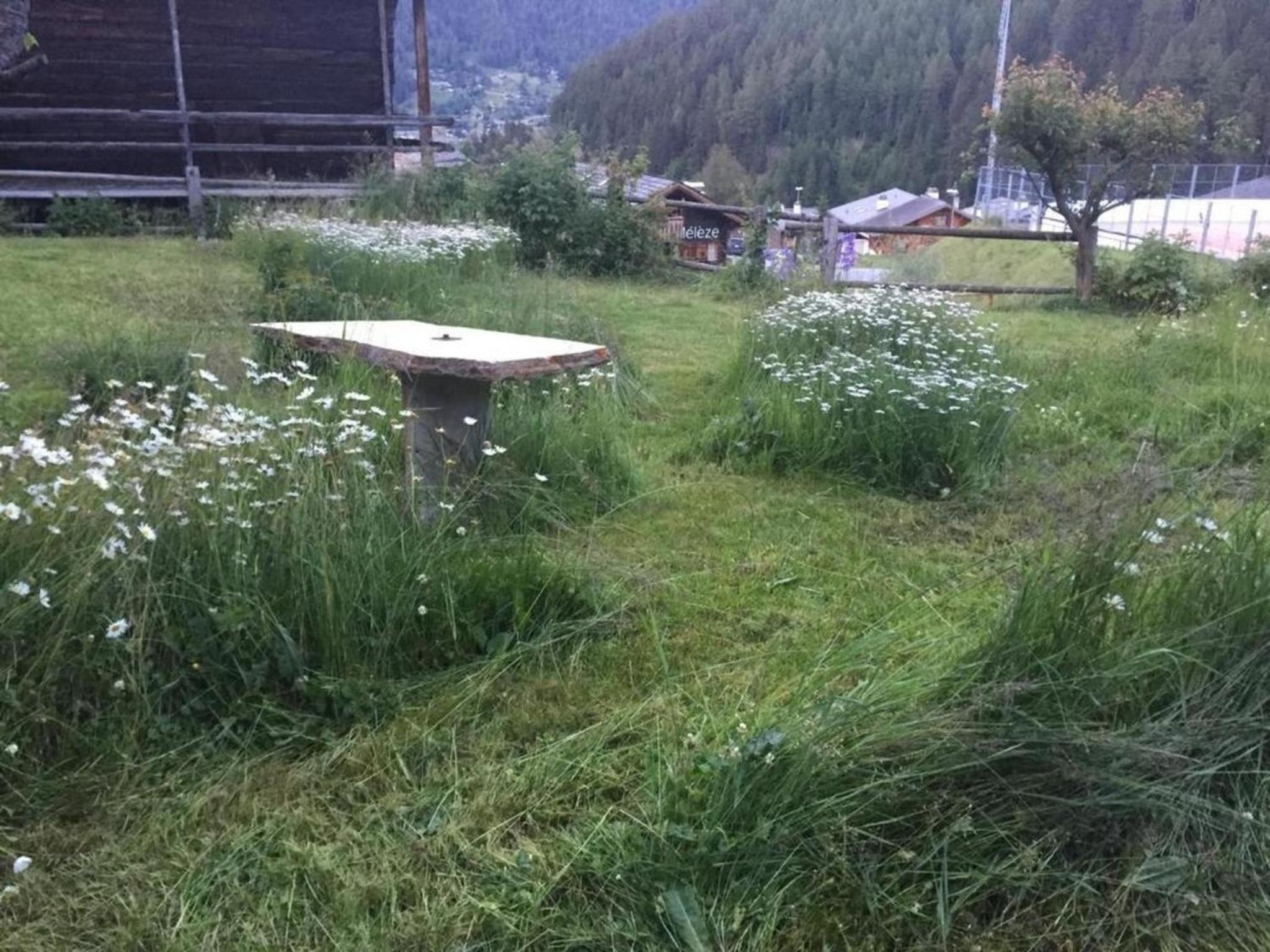 Chalet familial