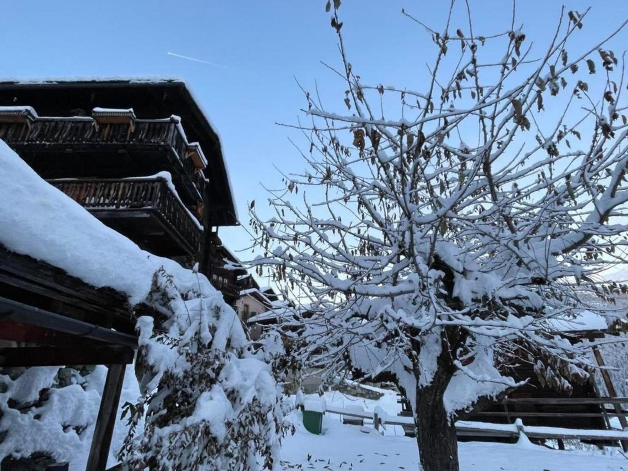 Chalet familial