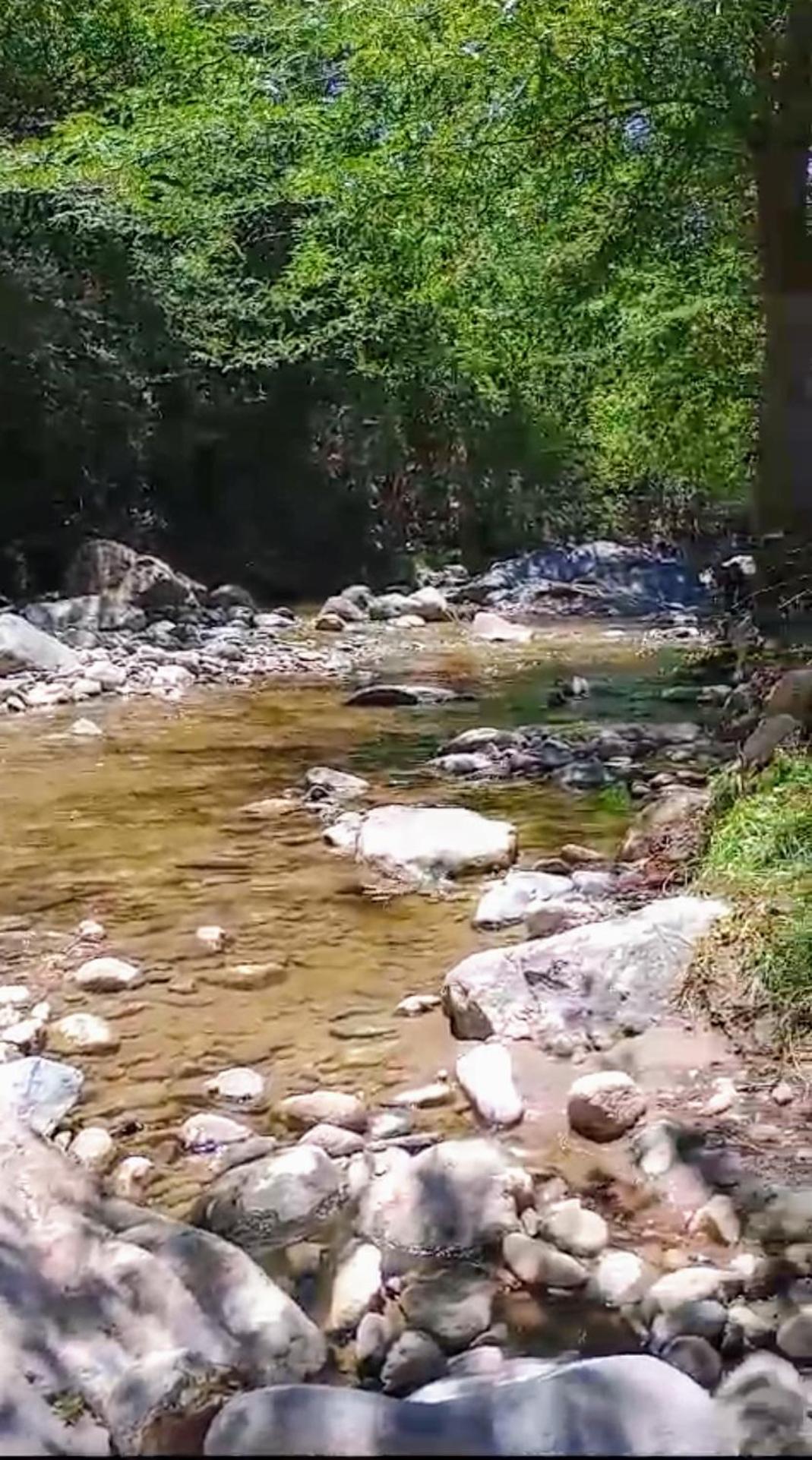 Altos del Peñón Cabañas