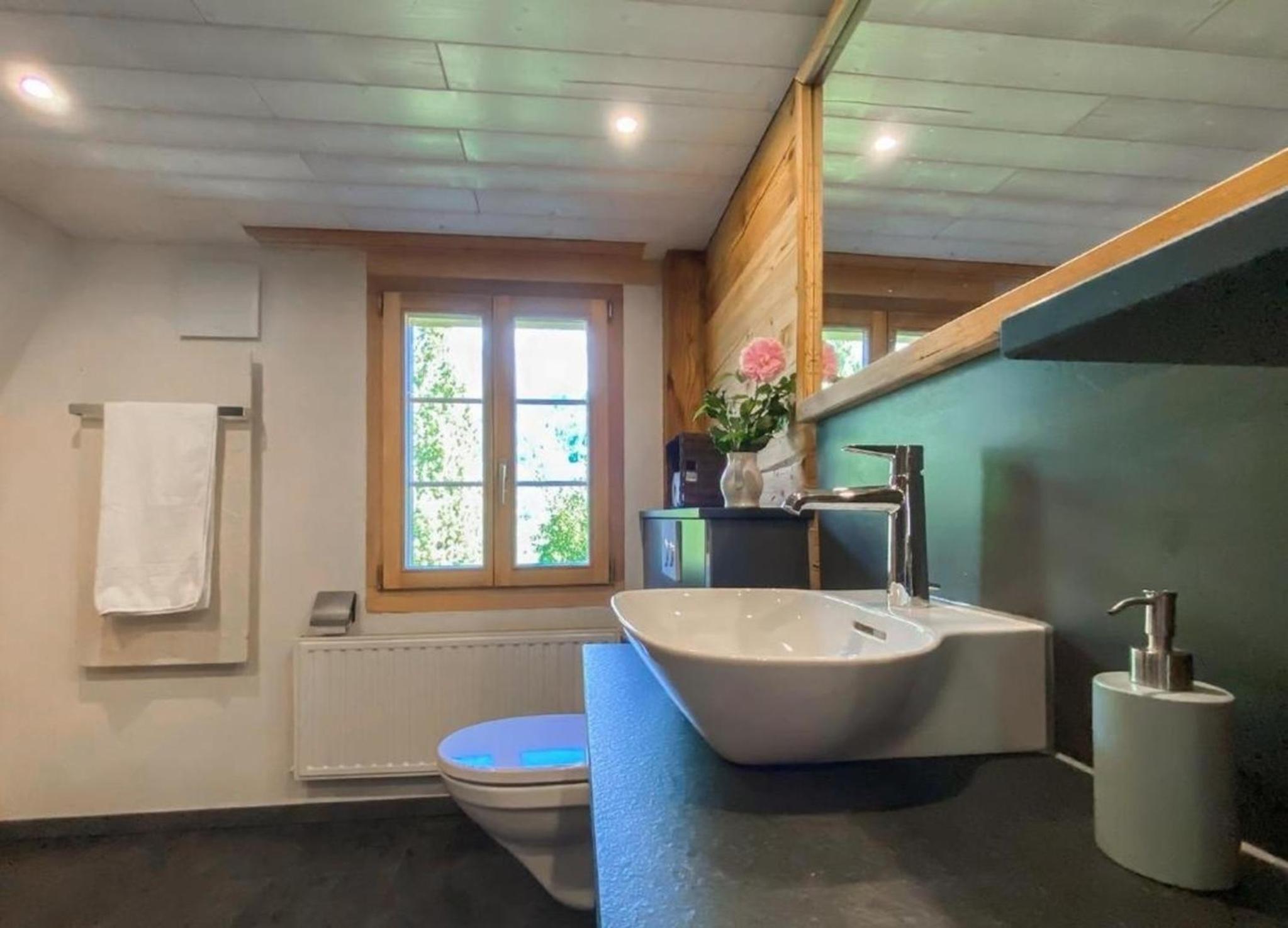 Ferienhaus Chalet Simeli