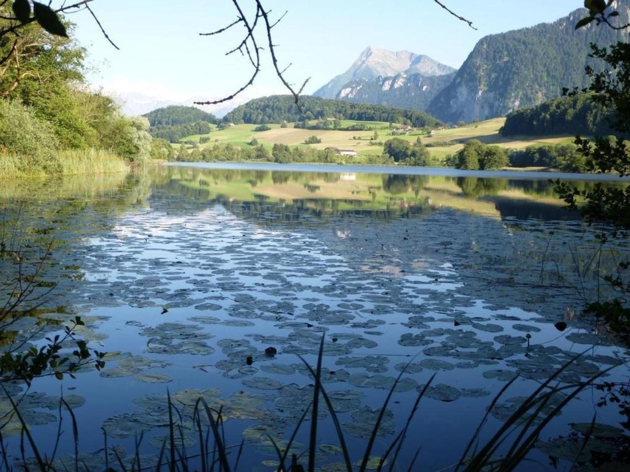 Ferienwohnung Amsoldingen mit herrlicher Aussicht