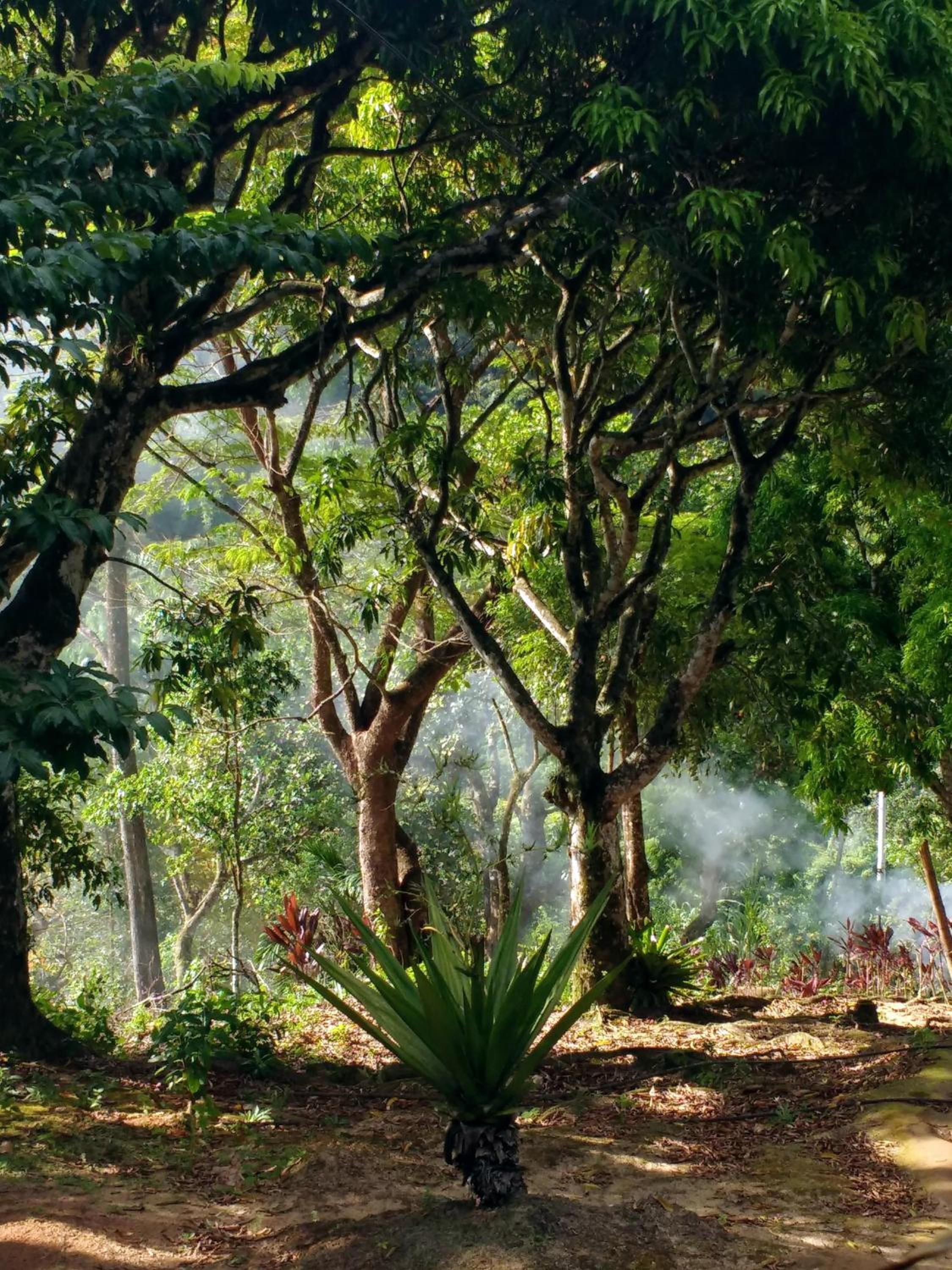 Hospedagem Casa SacoBravo