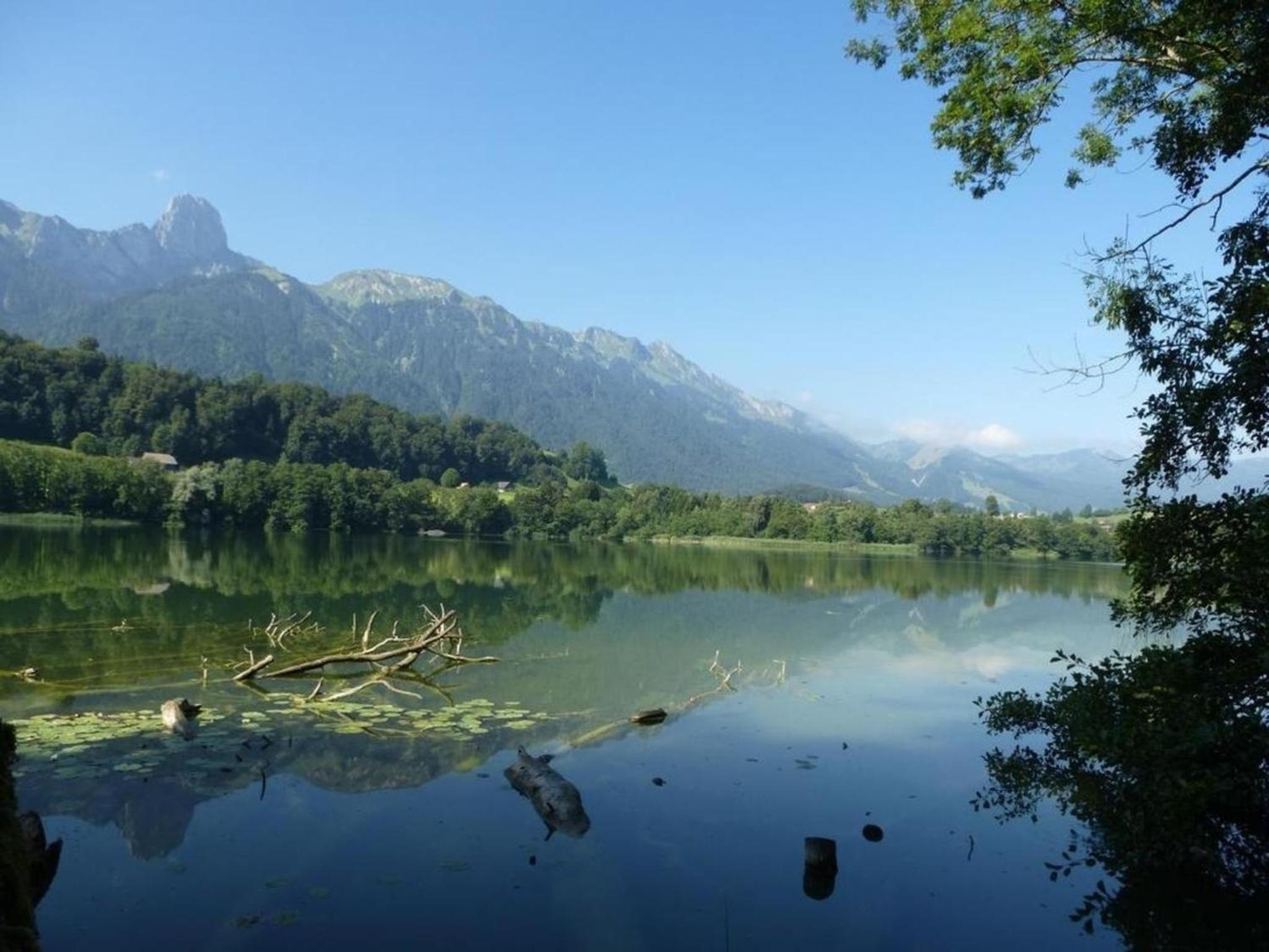 Ferienwohnung Amsoldingen mit herrlicher Aussicht