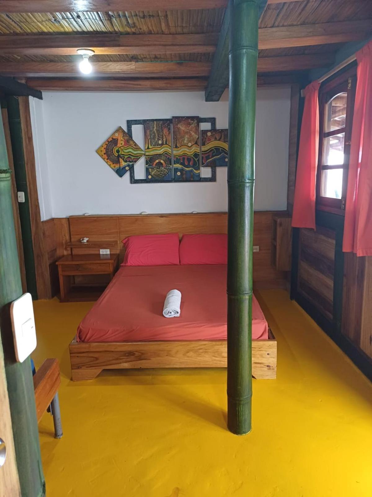 LA MAISON de DARWIN view 3