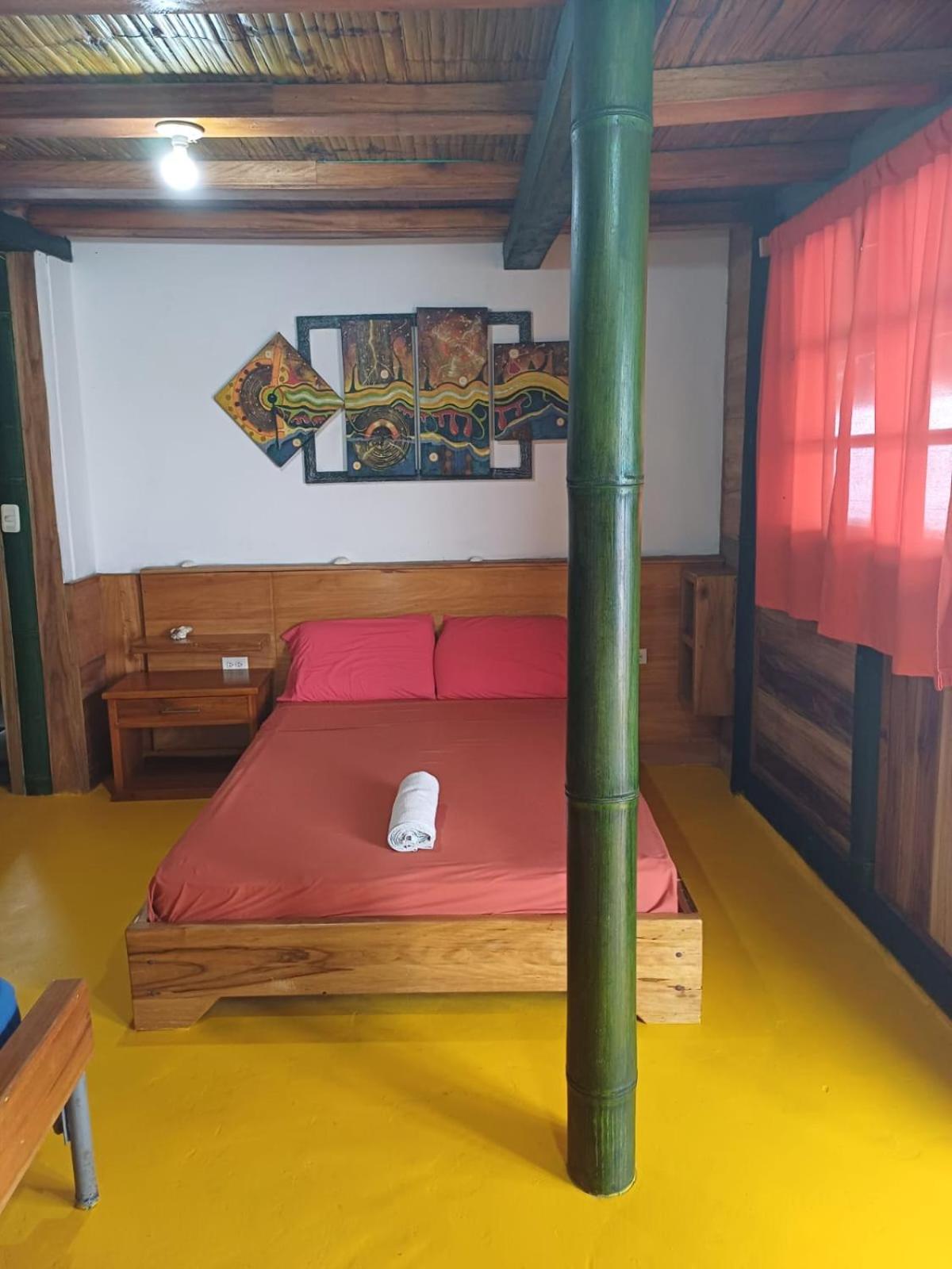 LA MAISON de DARWIN view 5