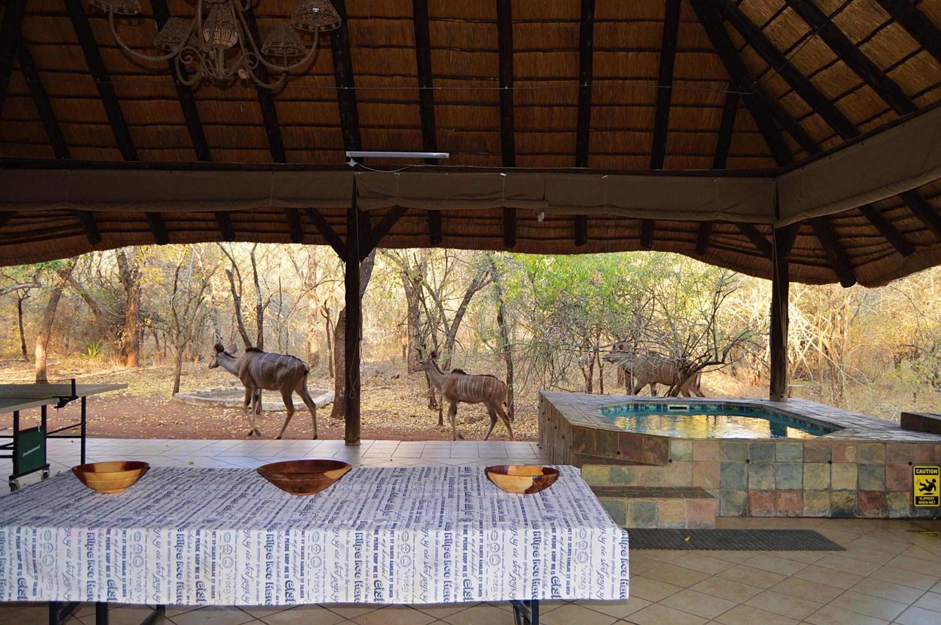 Elijara Kruger Lodge