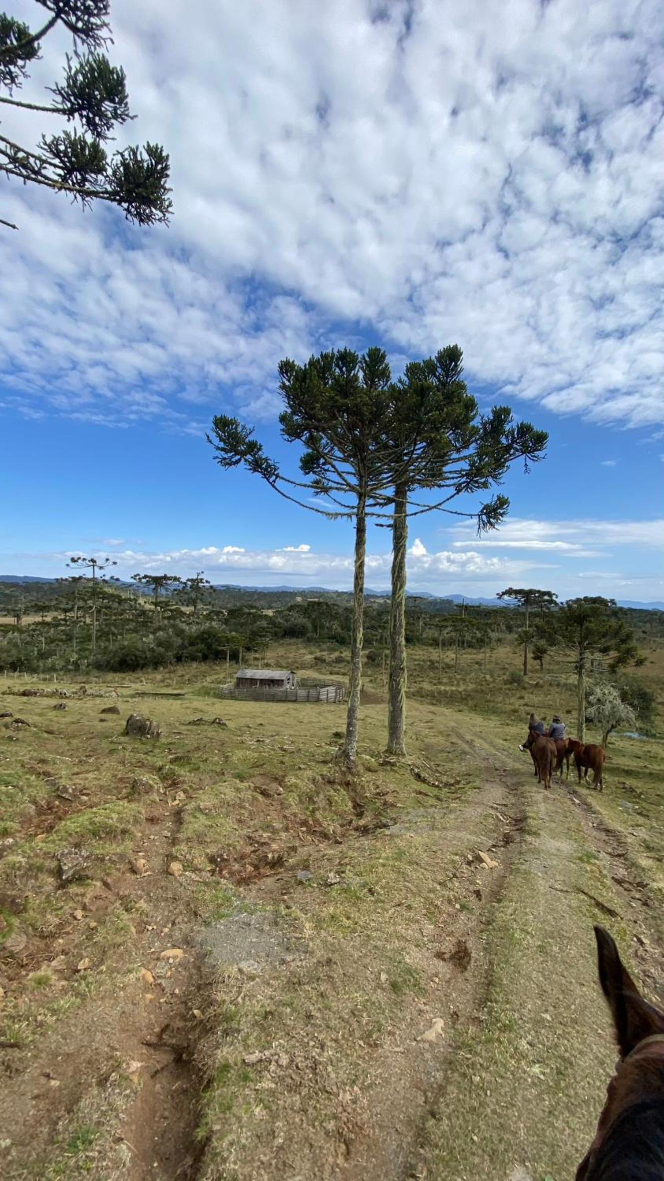 Vale Tancon Eco Village Urubici