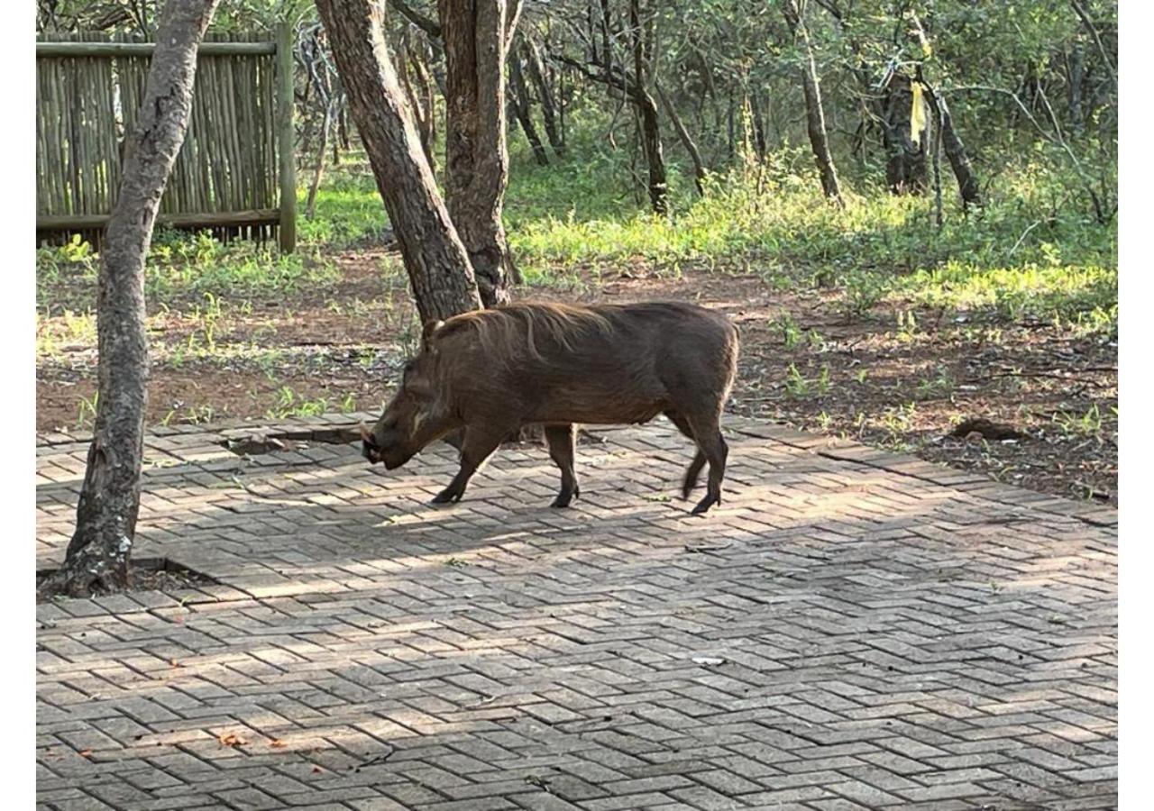 Elijara Kruger Lodge