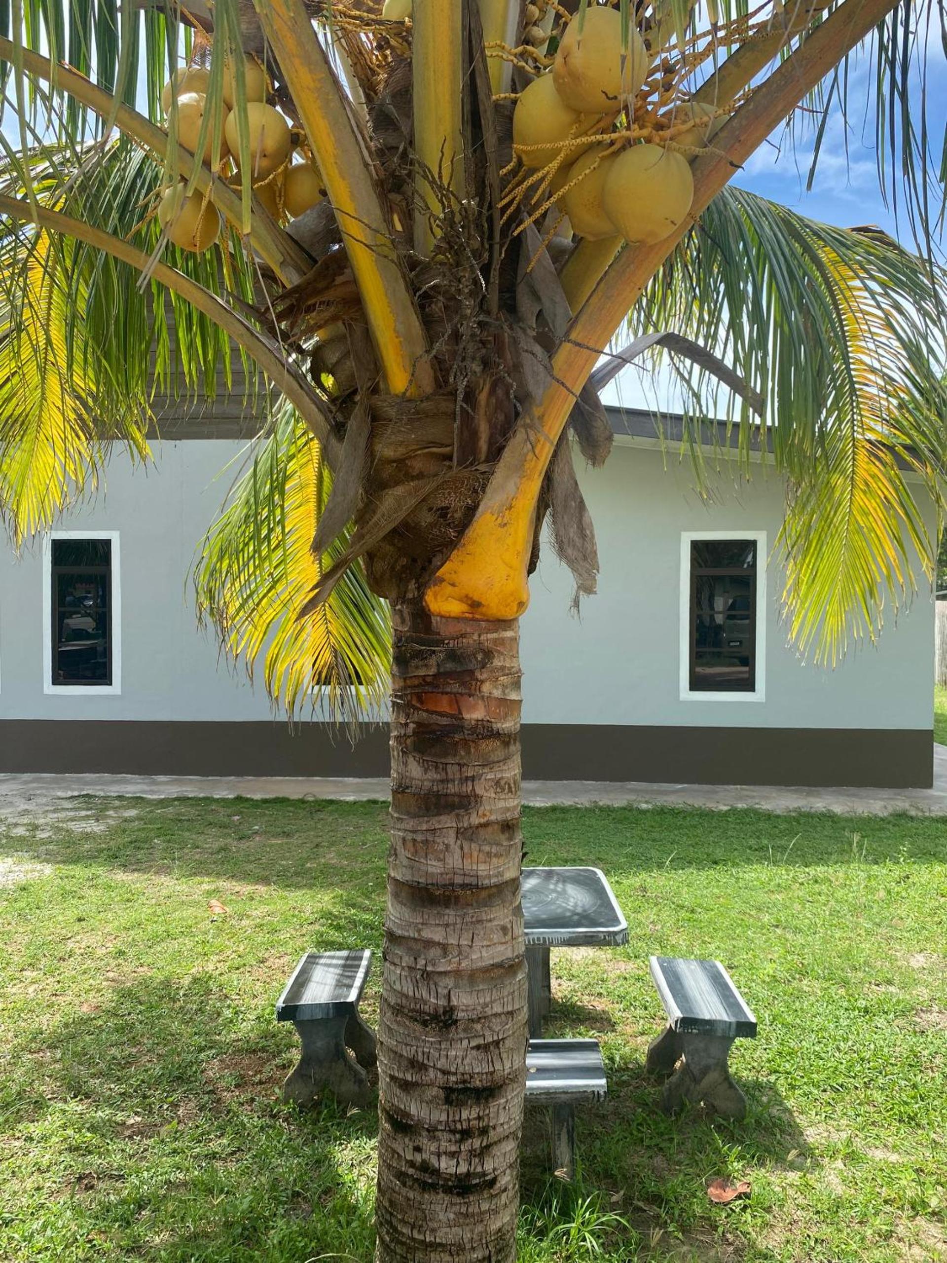 SeaView Homestay