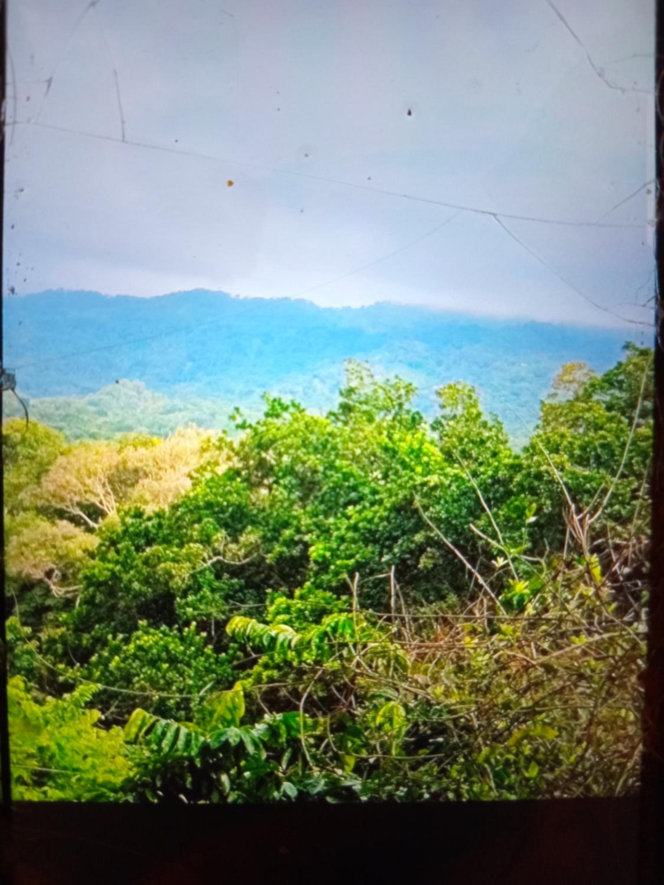 The Ireland Place Tayrona
