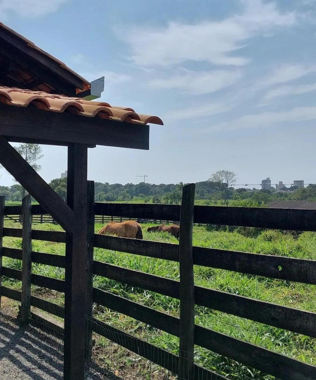 Chalés de Penha - Natureza e Beto Carrero