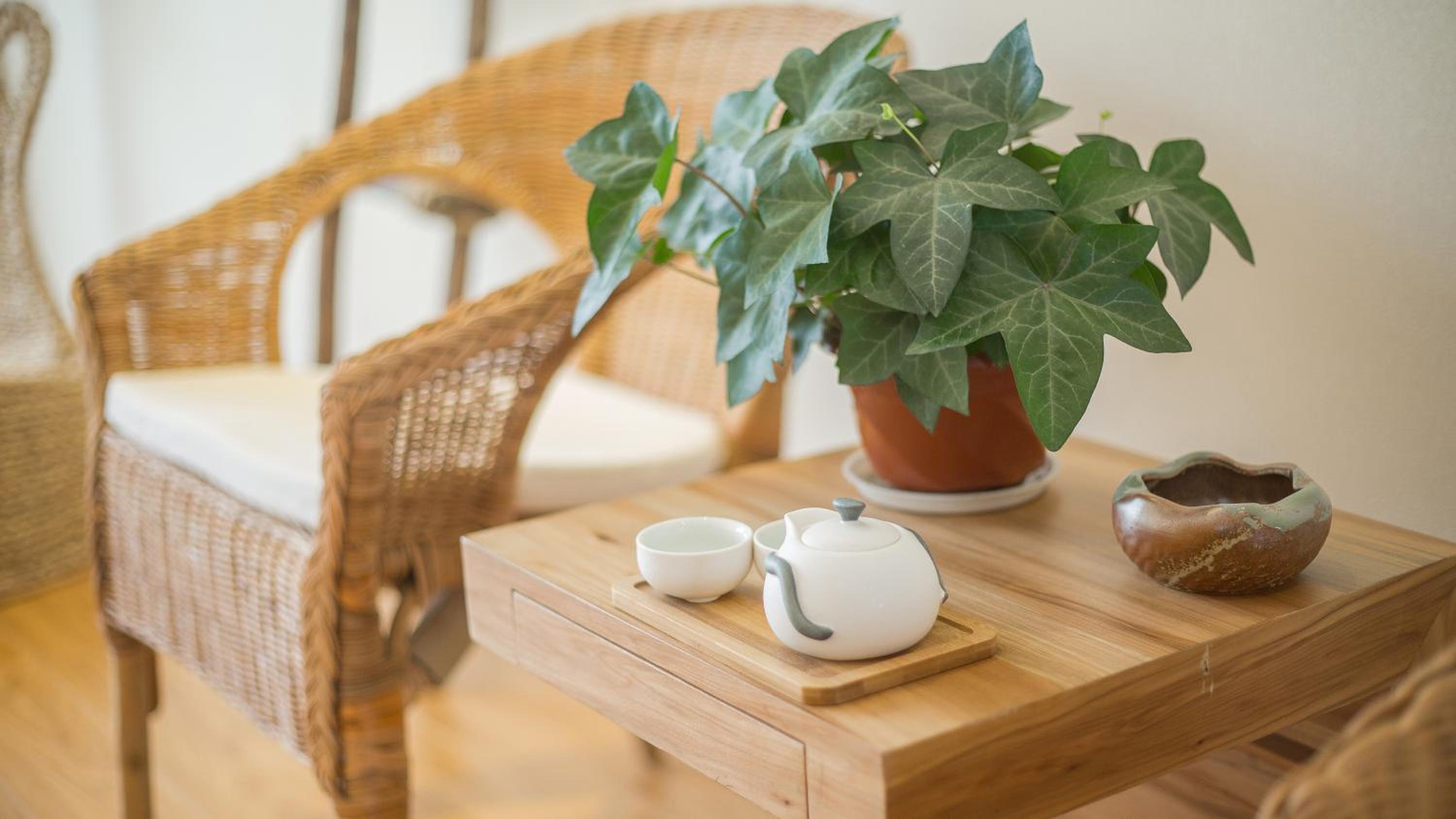 Dashe Yuanye Boutique Homestay