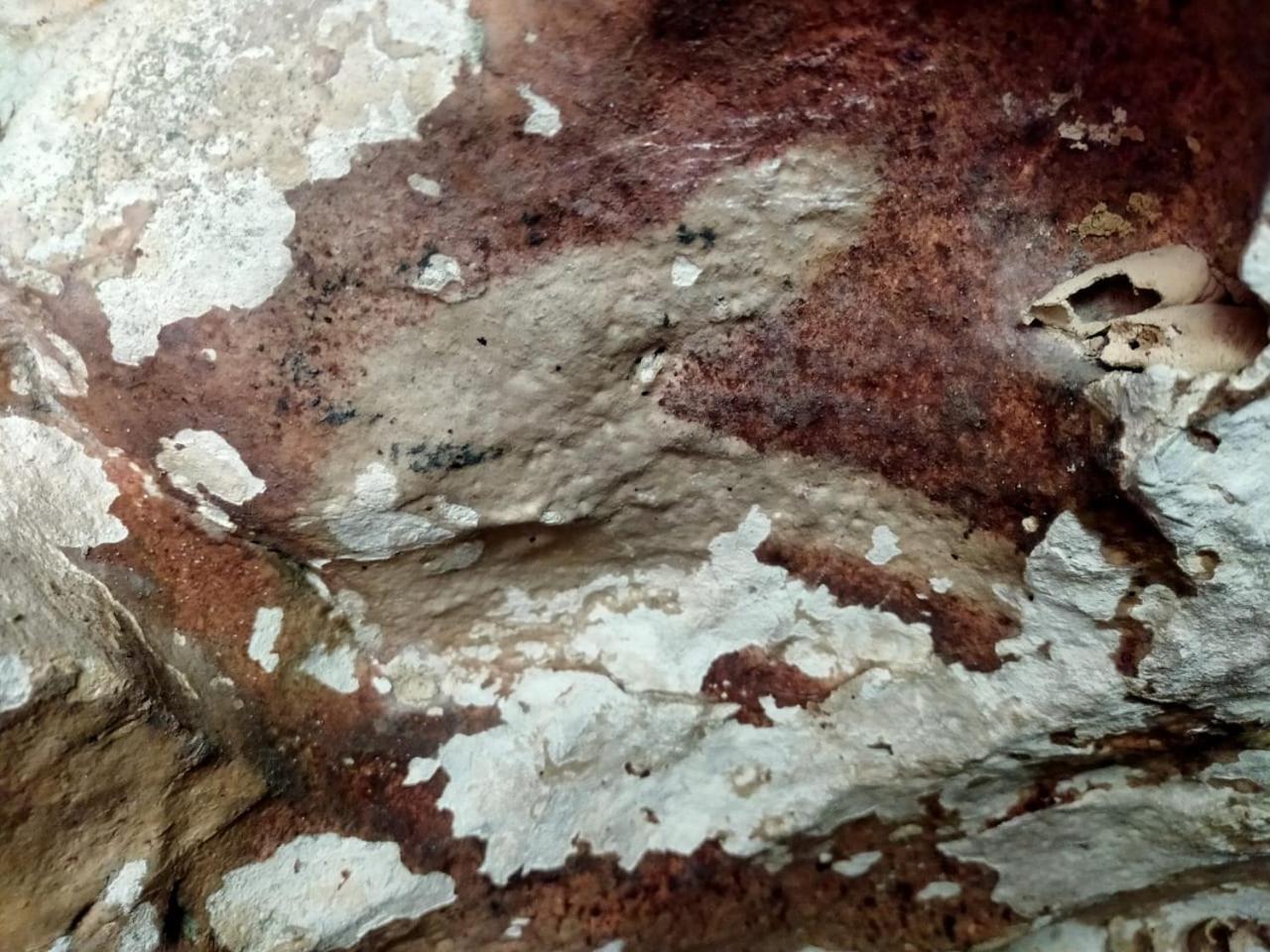 Photo 35