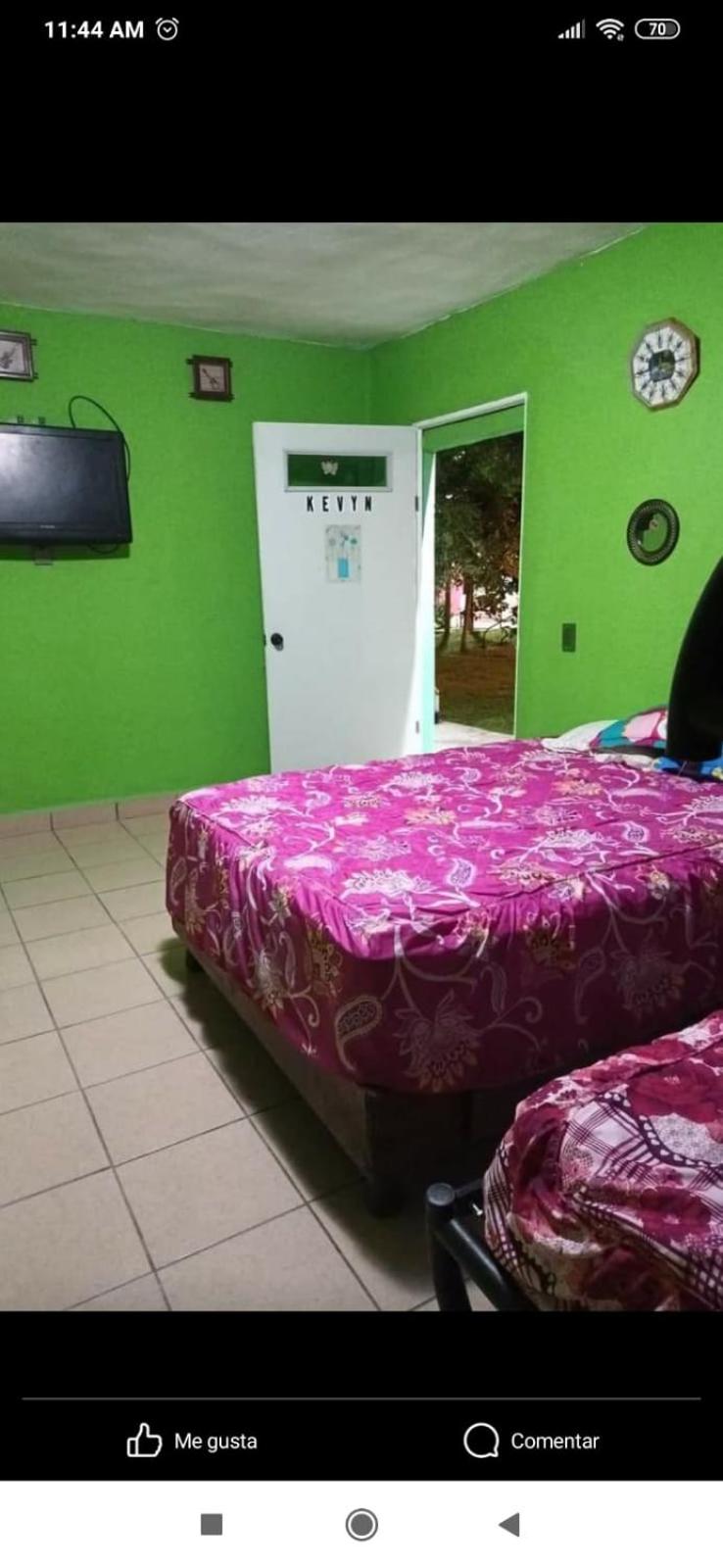 Photo 21