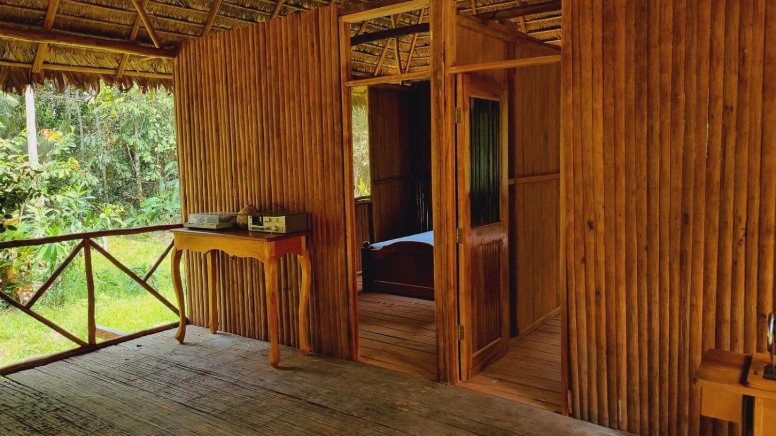 Castaña Amazon Park view 4