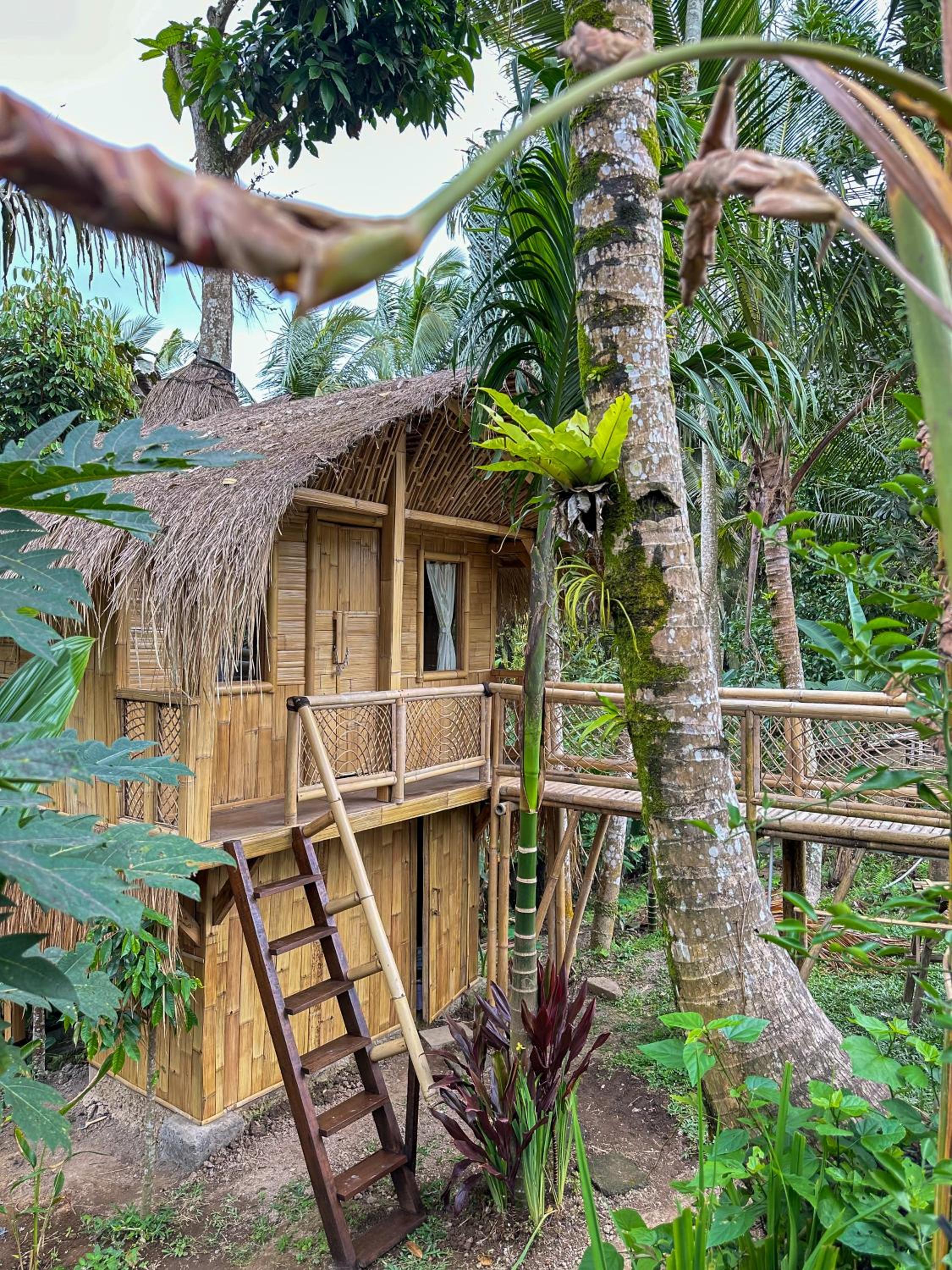 Kawig Bamboo House - Ricefield view, Eco Bamboo Home view 5