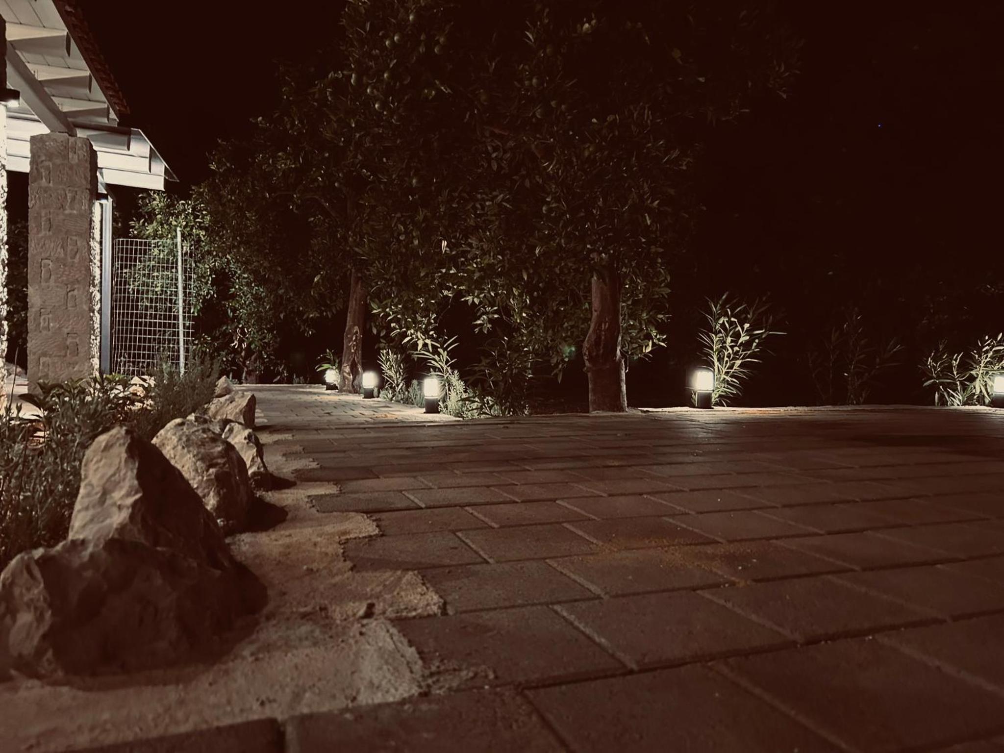 Photo 28