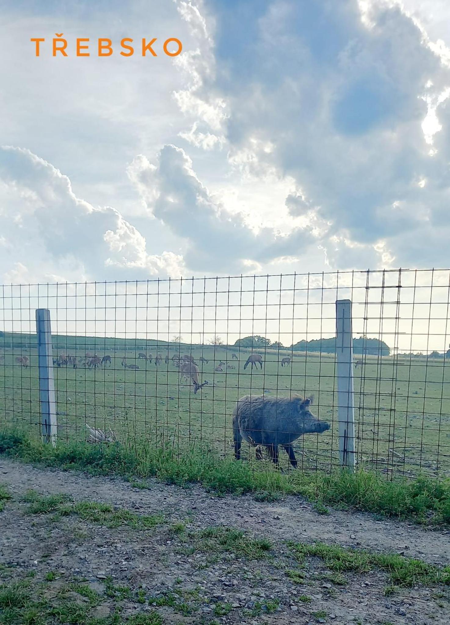 Ubytování u Sýkorky