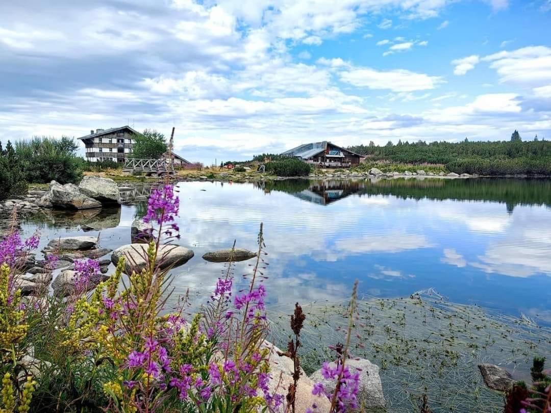 Alpine Lodge Bansko Apartments