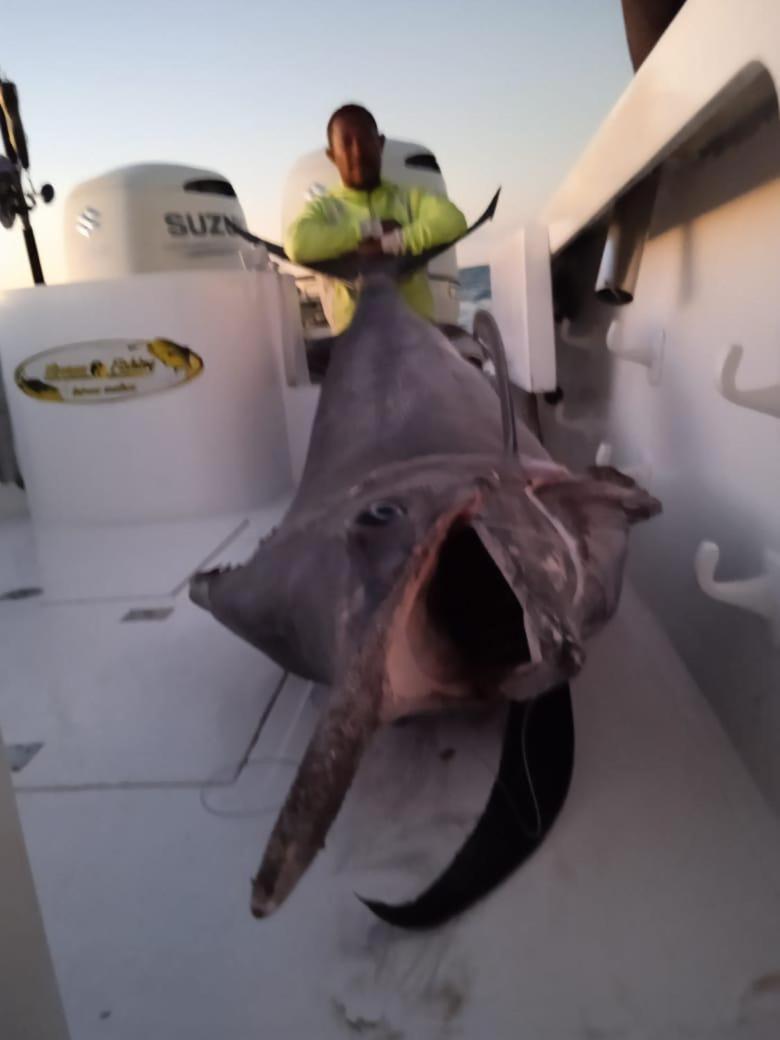 Bertin Fishing Nosy Be view 5