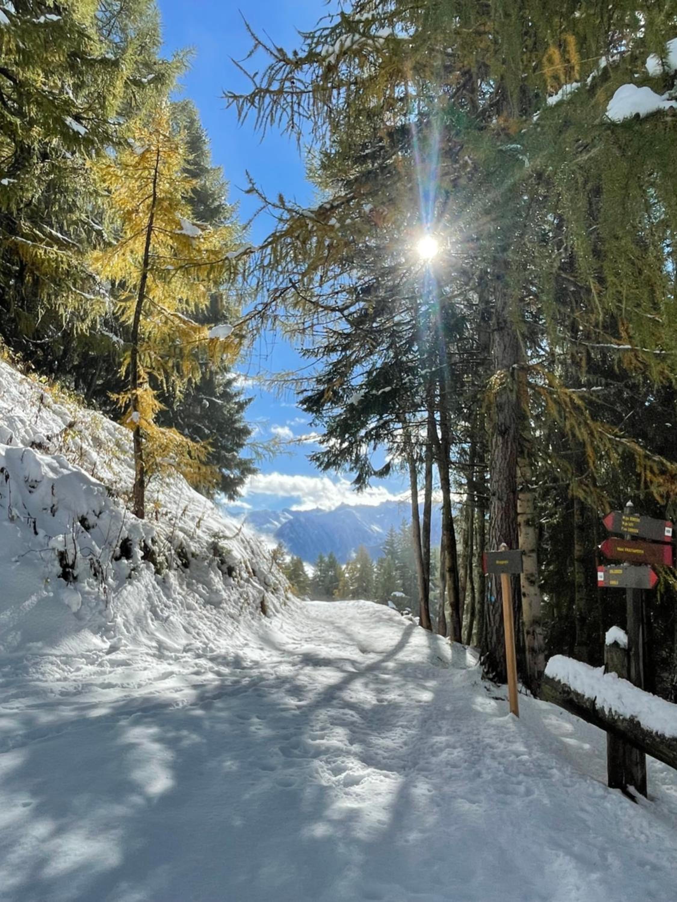 Chalet Nontiscordardime