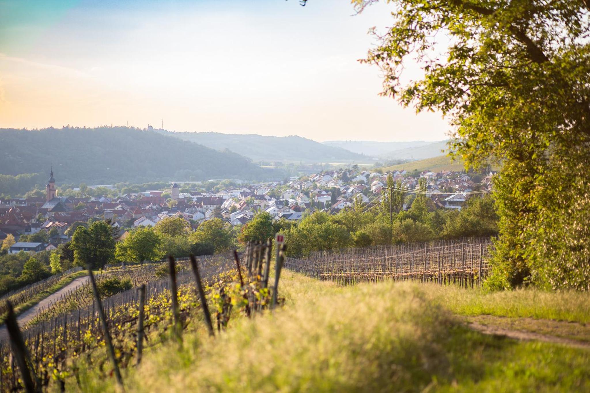 Weingut Leininger Ferienwohnungen